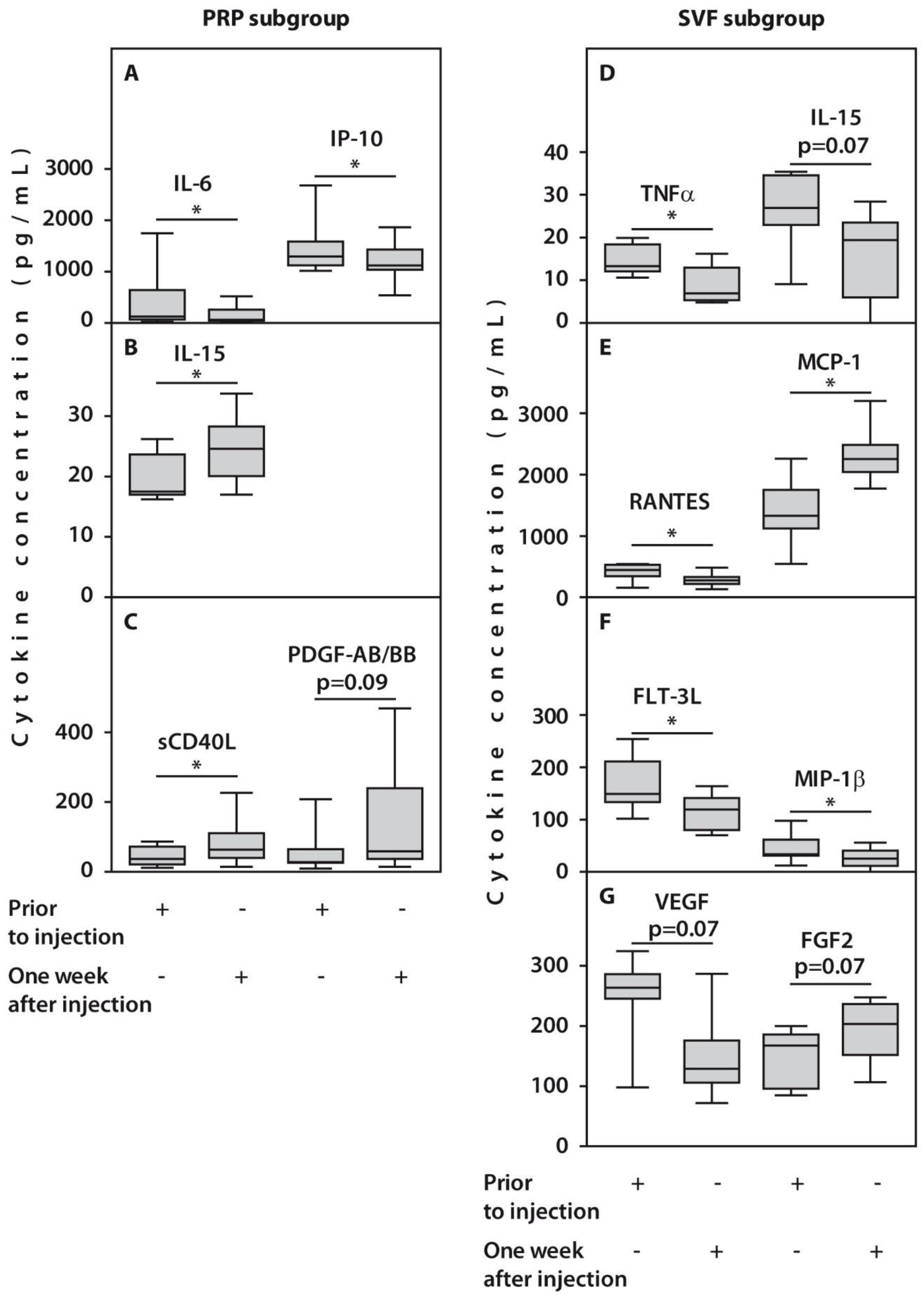 Ijms 23 12835 g004 Ijms 23 12835 g004