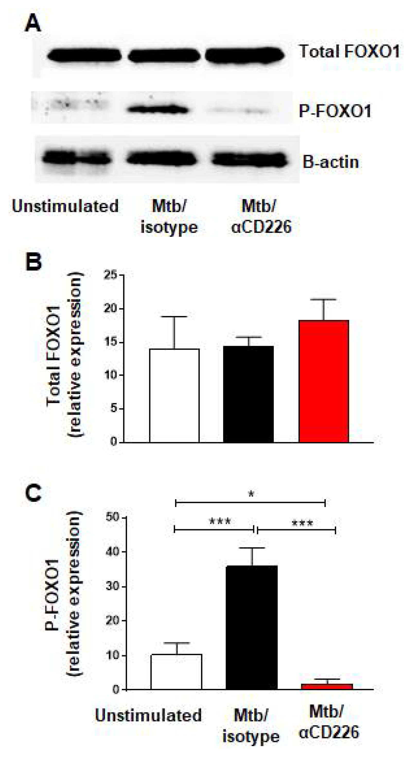 Ijms 23 12838 g002 Ijms 23 12838 g002
