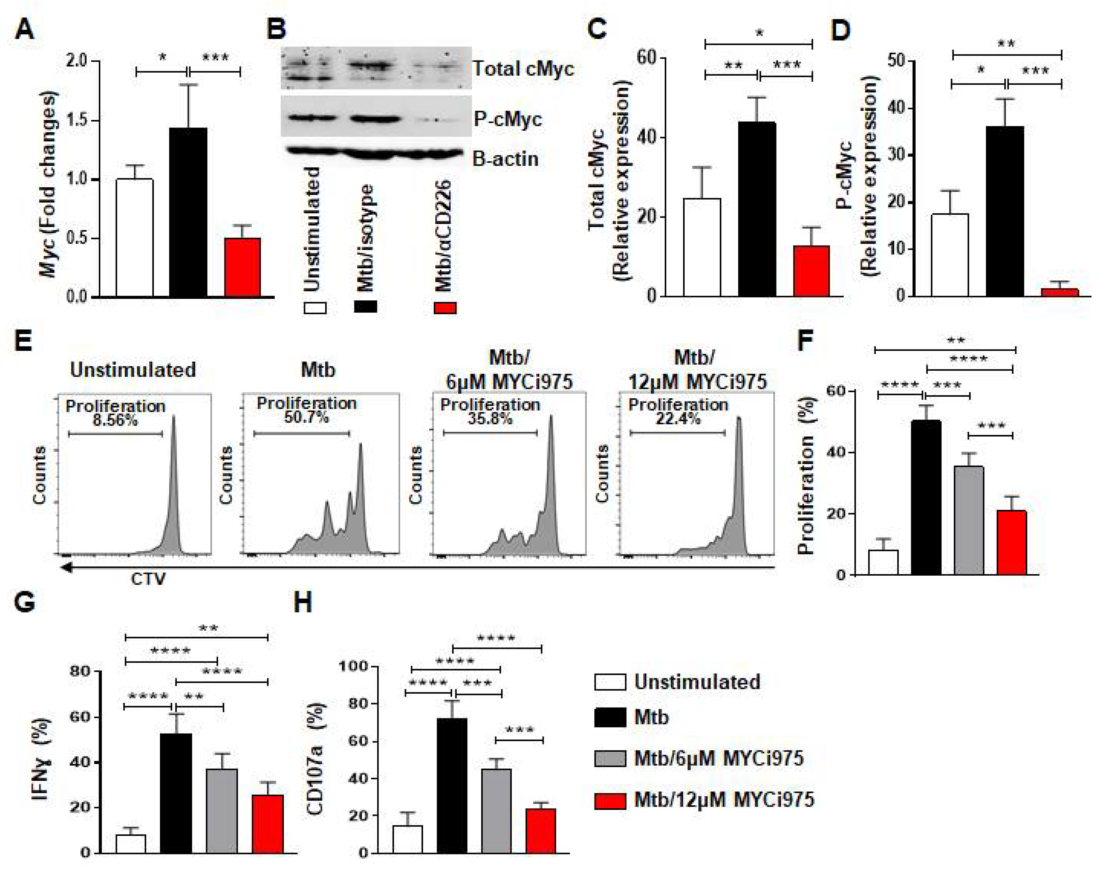 Ijms 23 12838 g003 Ijms 23 12838 g003