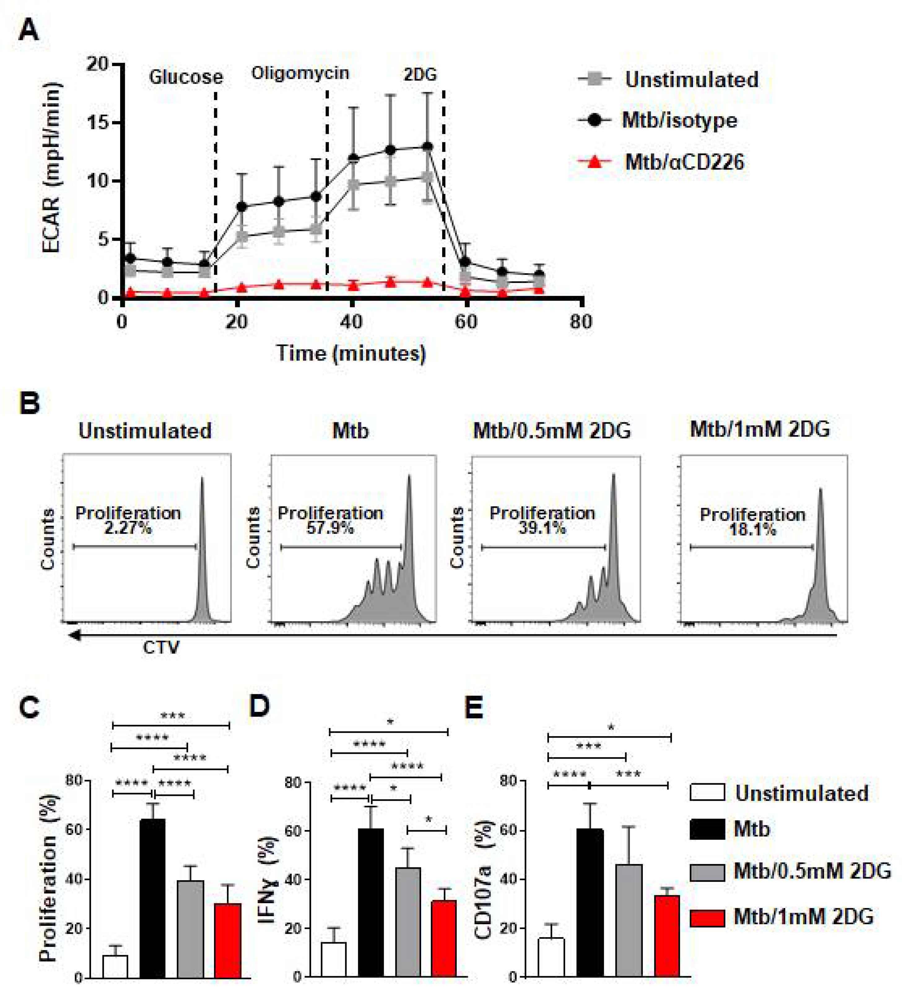 Ijms 23 12838 g004 Ijms 23 12838 g004