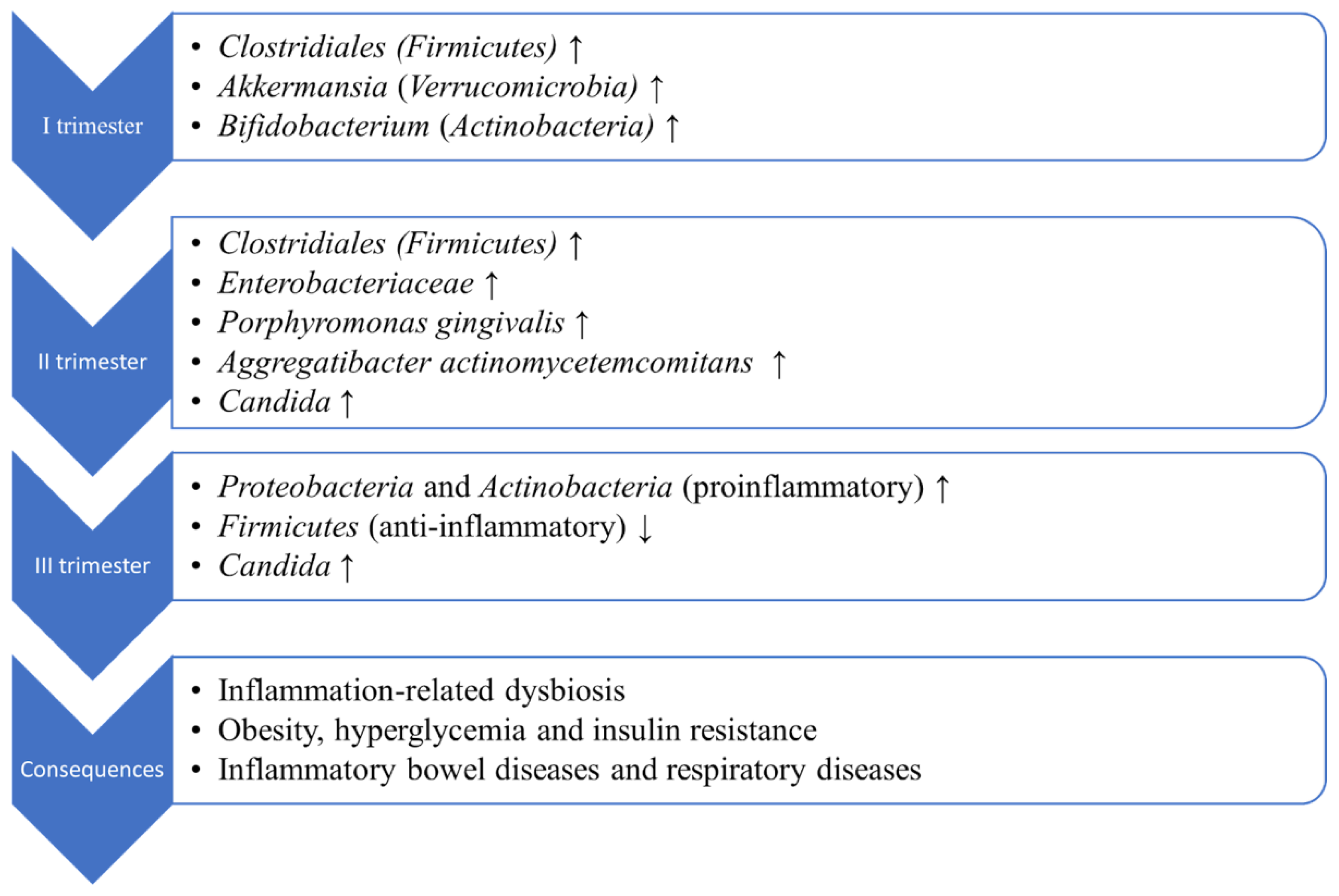 Ijms 23 12839 g002 Ijms 23 12839 g002