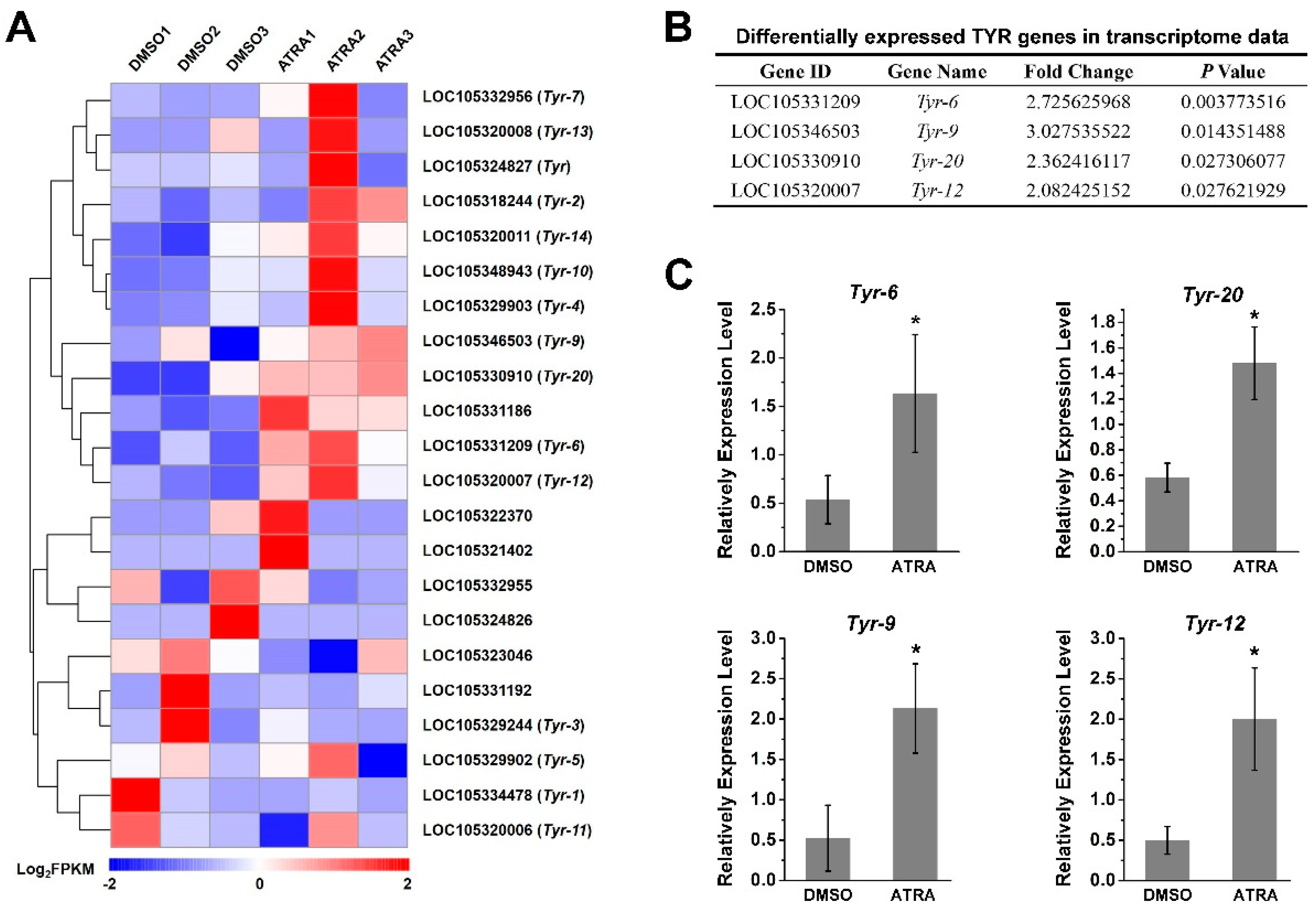 Ijms 23 12840 g002 Ijms 23 12840 g002
