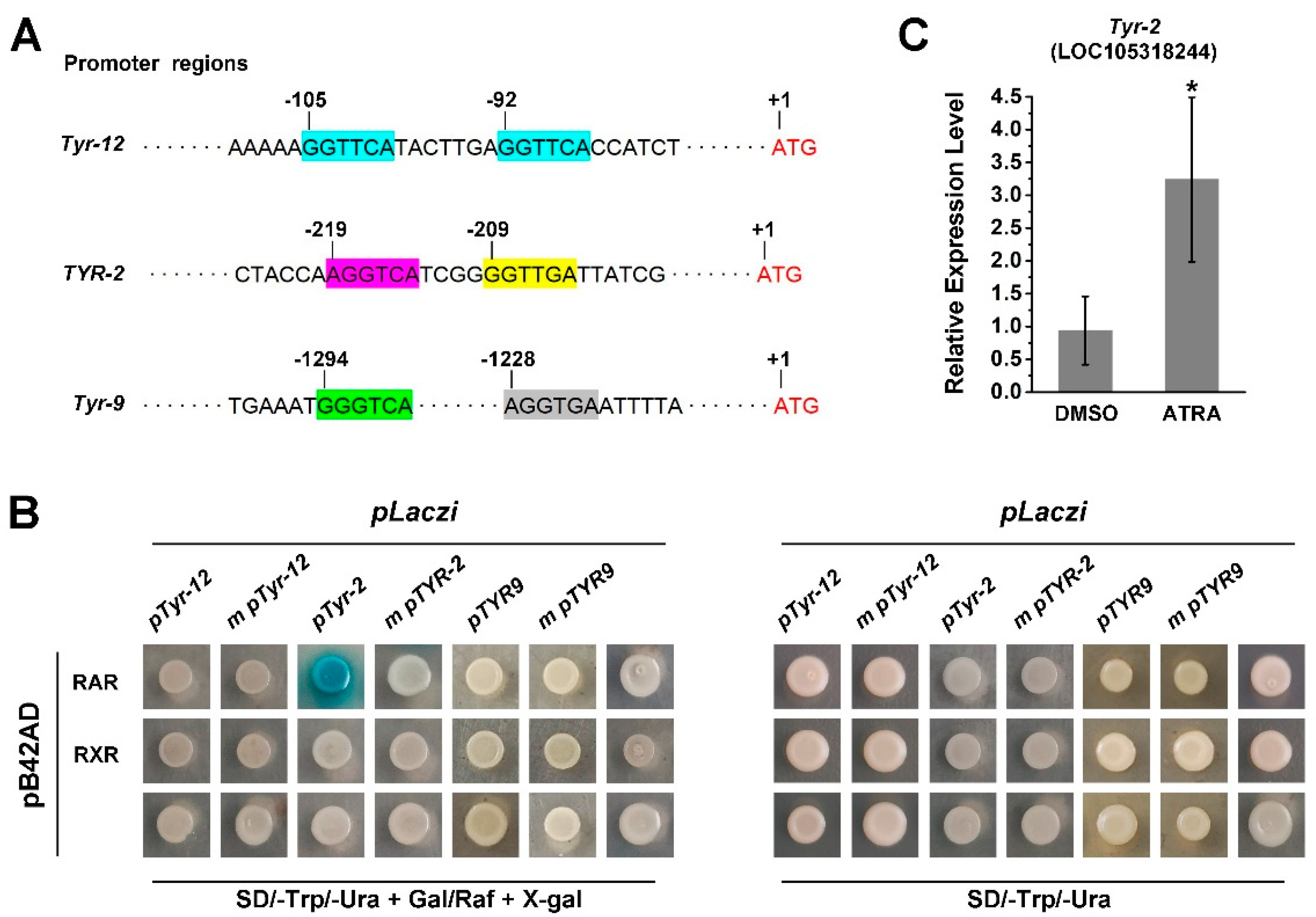 Ijms 23 12840 g005 Ijms 23 12840 g005