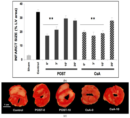 gm Kawasaki 92001-1173 Bolt, Hex Head, 10x30 NOS NEU genuine xn12858