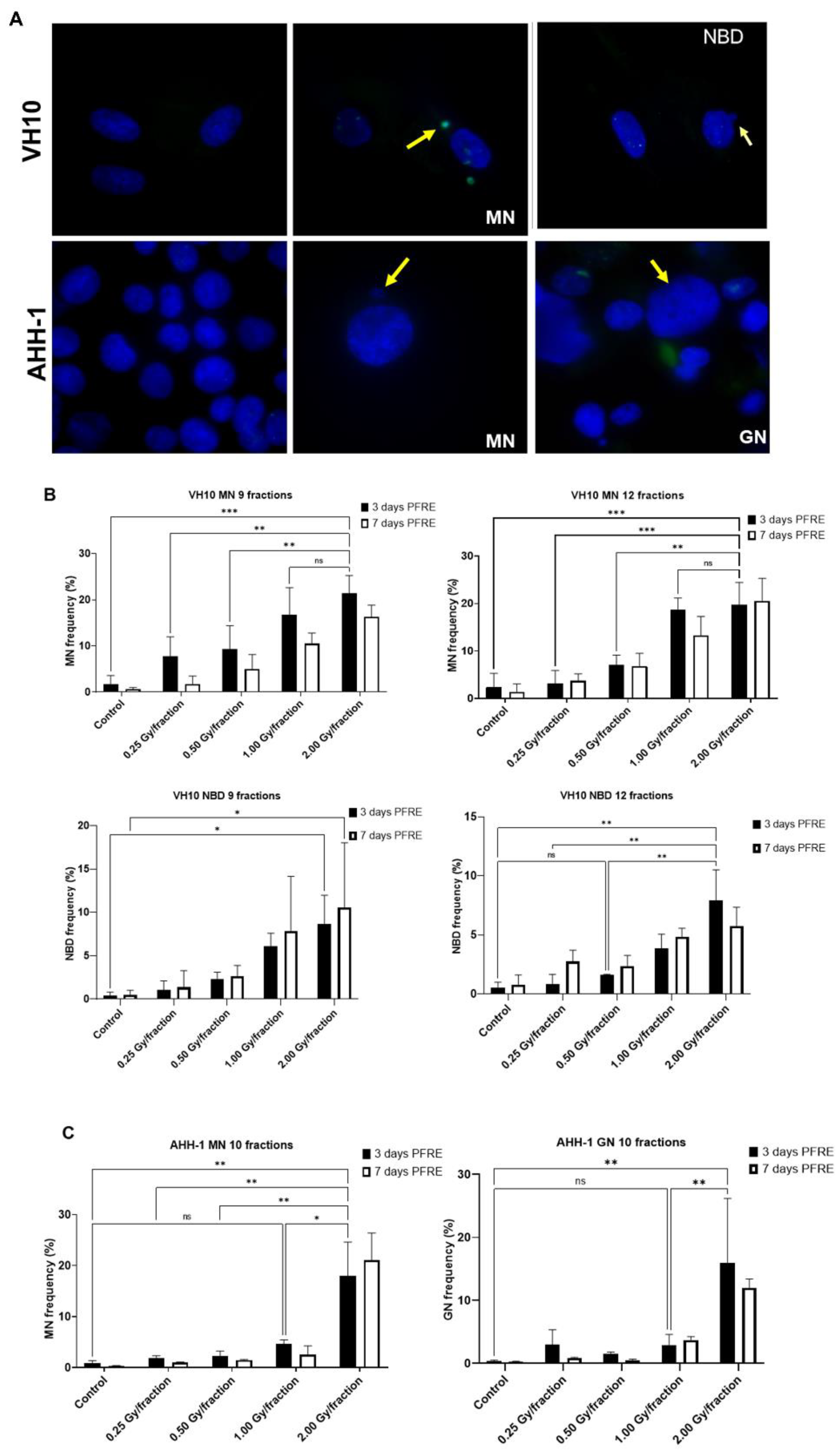 Ijms 23 12861 g004 Ijms 23 12861 g004