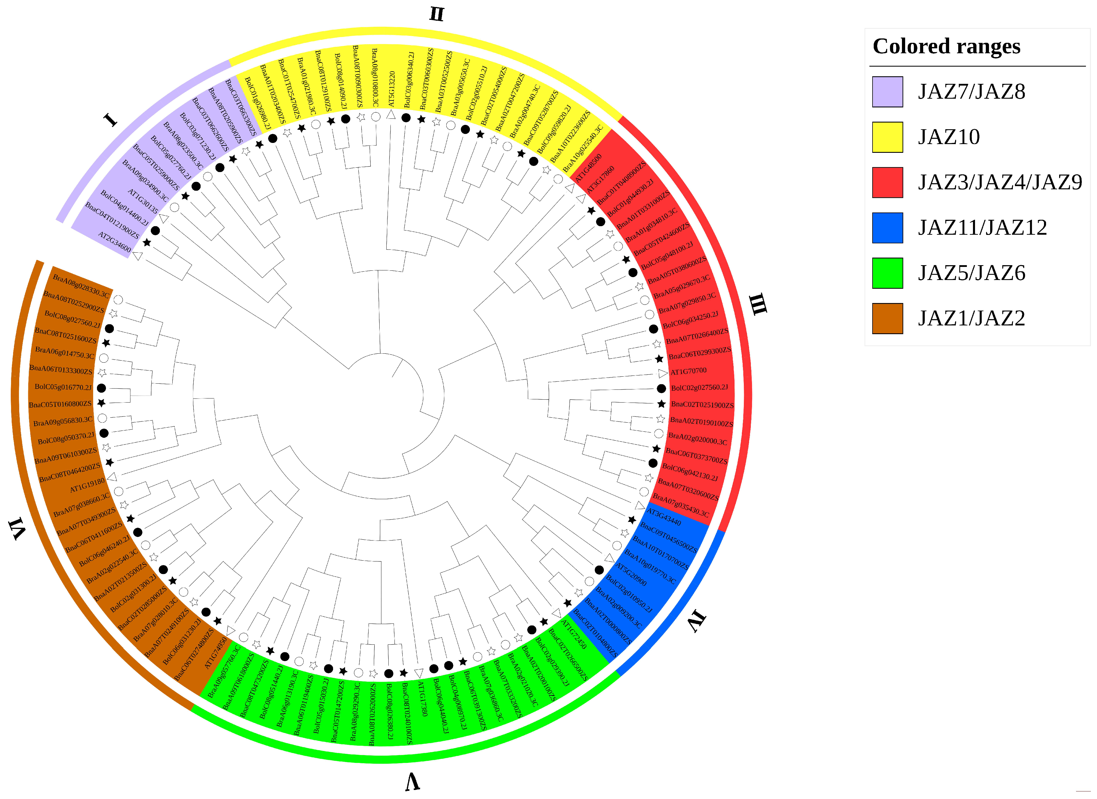Ijms 23 12862 g001 Ijms 23 12862 g001