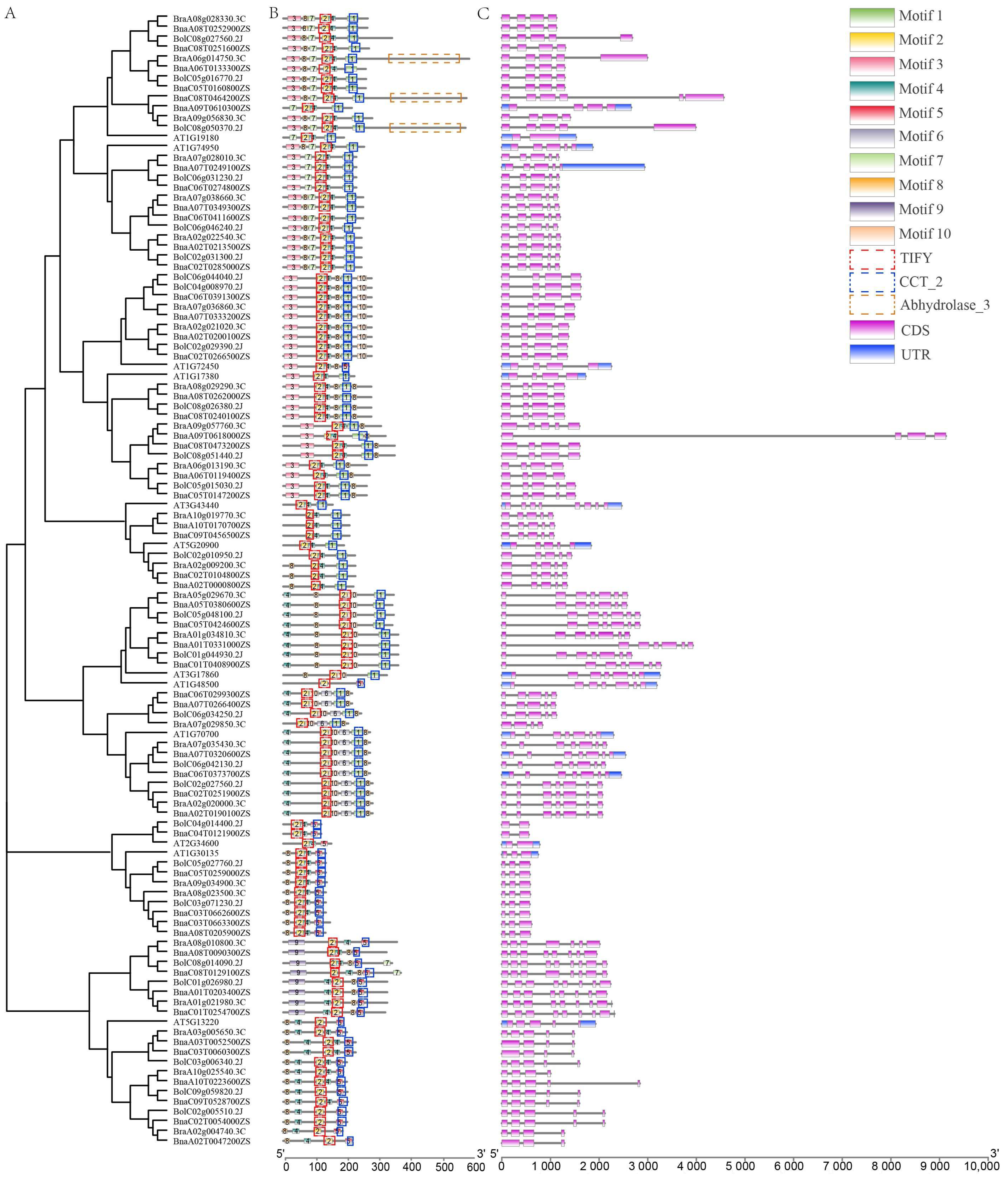 Ijms 23 12862 g002 Ijms 23 12862 g002