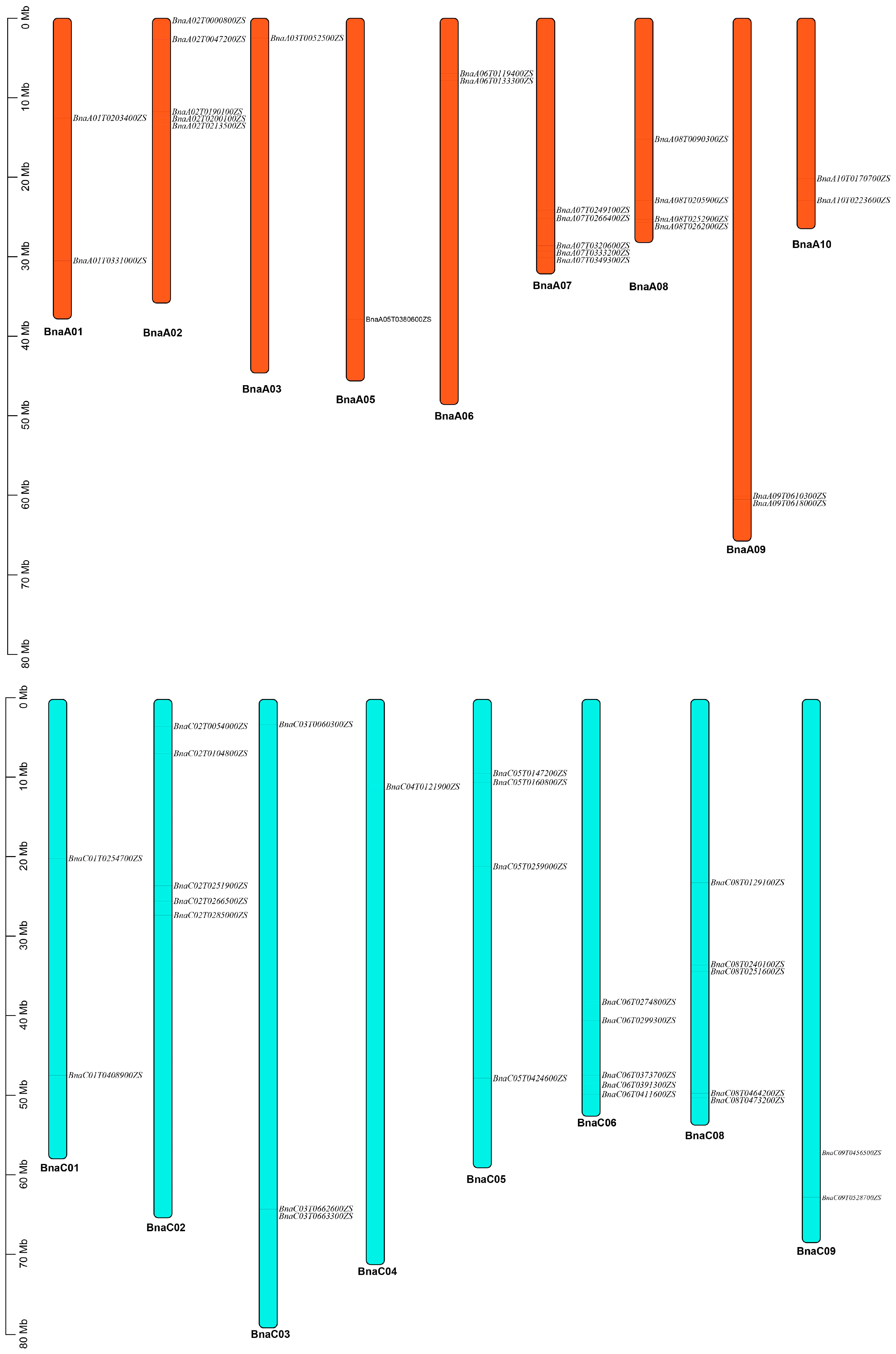 Ijms 23 12862 g003 Ijms 23 12862 g003