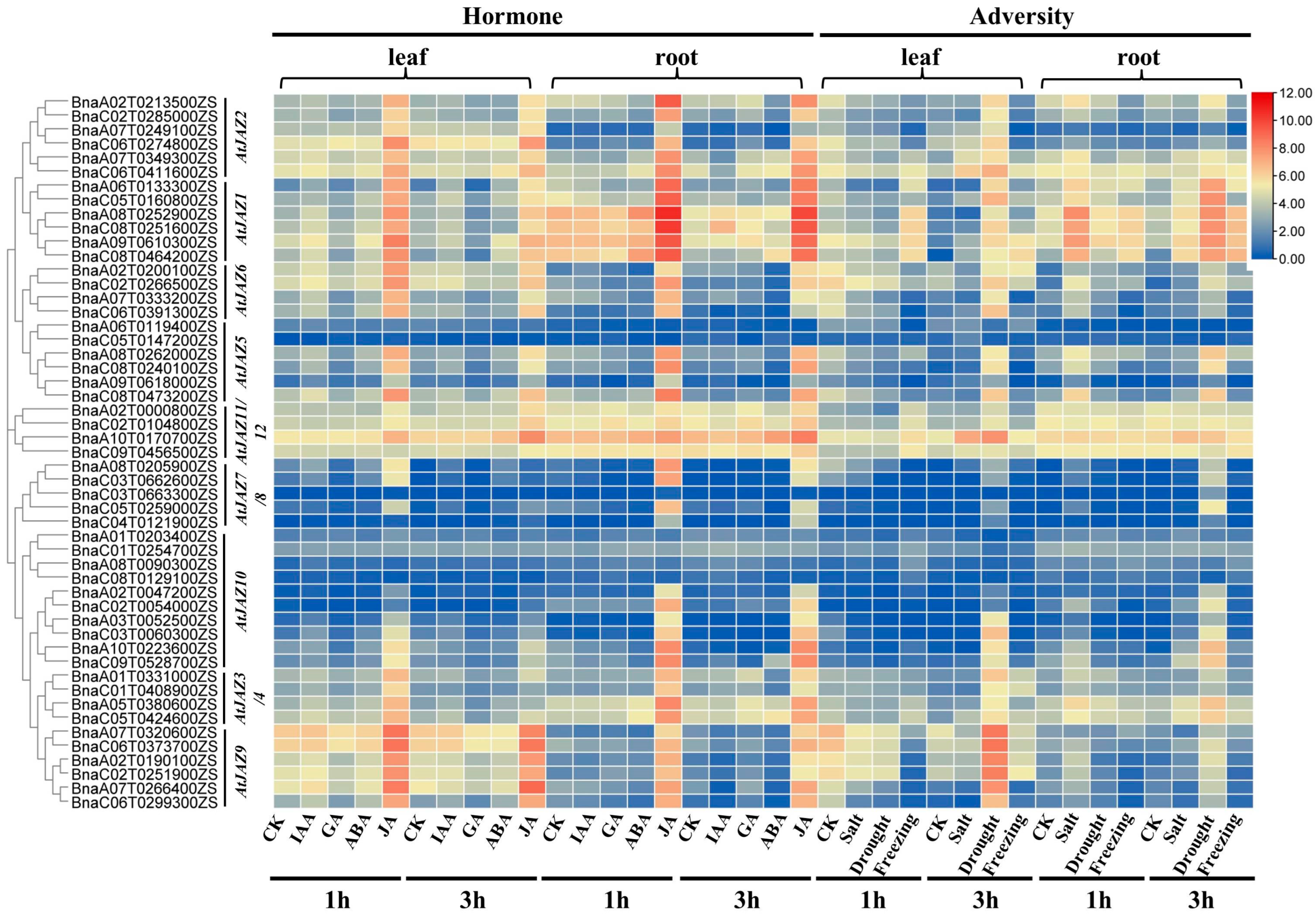 Ijms 23 12862 g004 Ijms 23 12862 g004