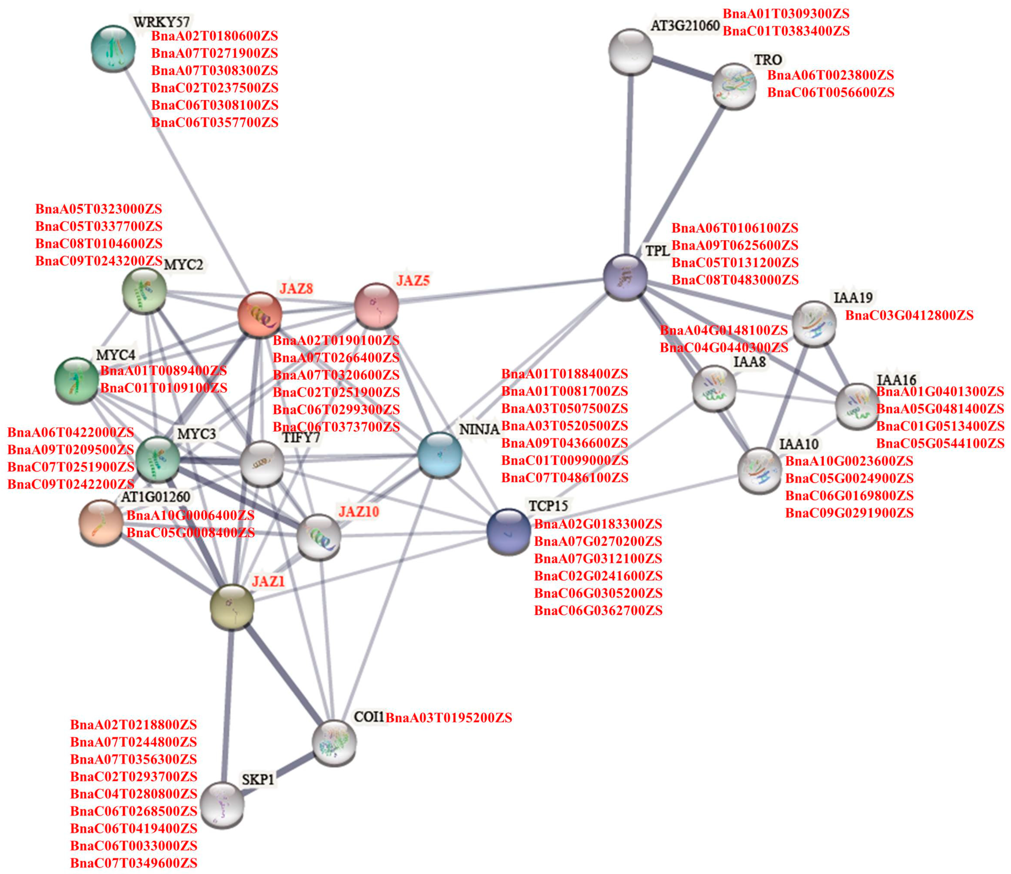 Ijms 23 12862 g007 Ijms 23 12862 g007