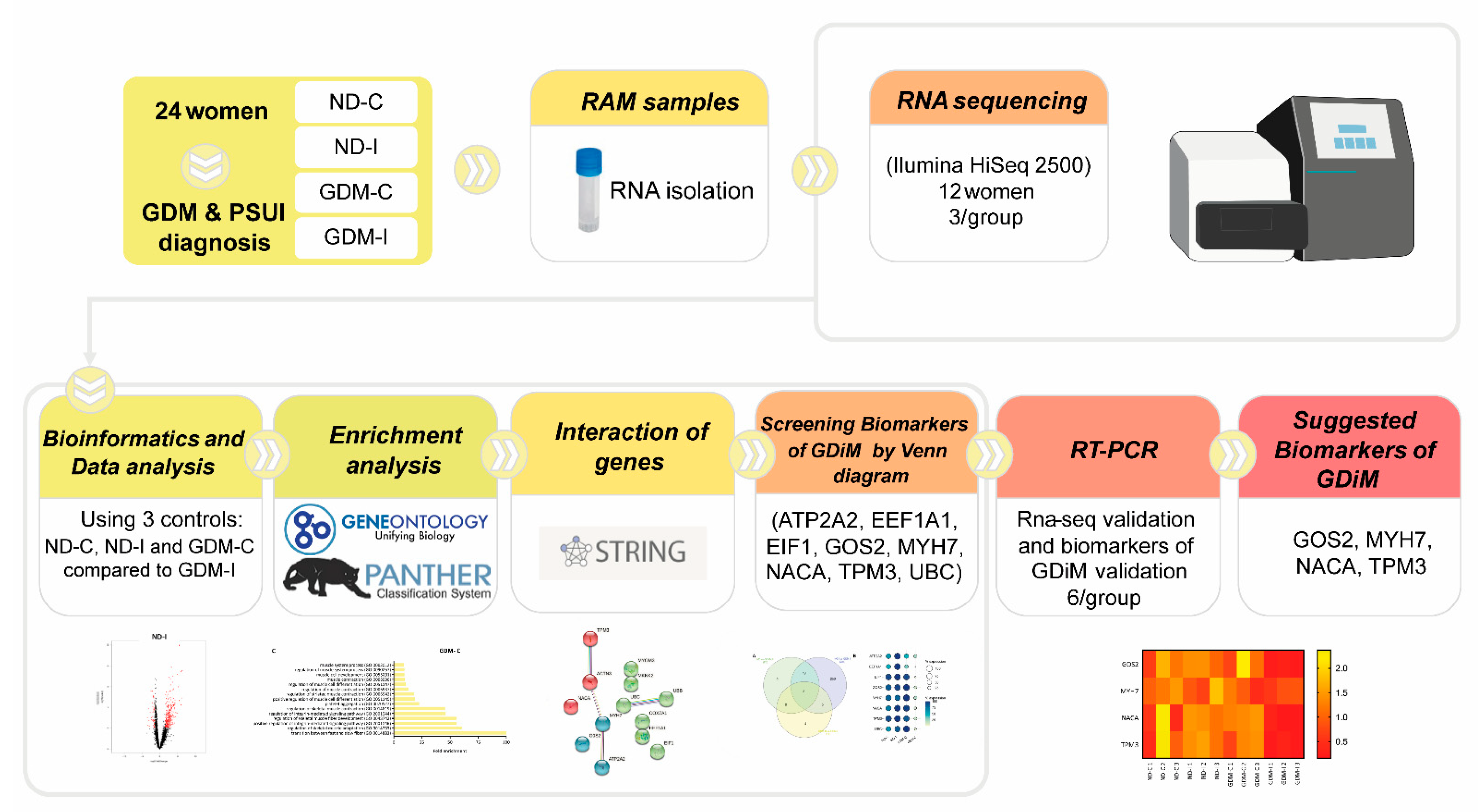 Ijms 23 12864 g001 Ijms 23 12864 g001
