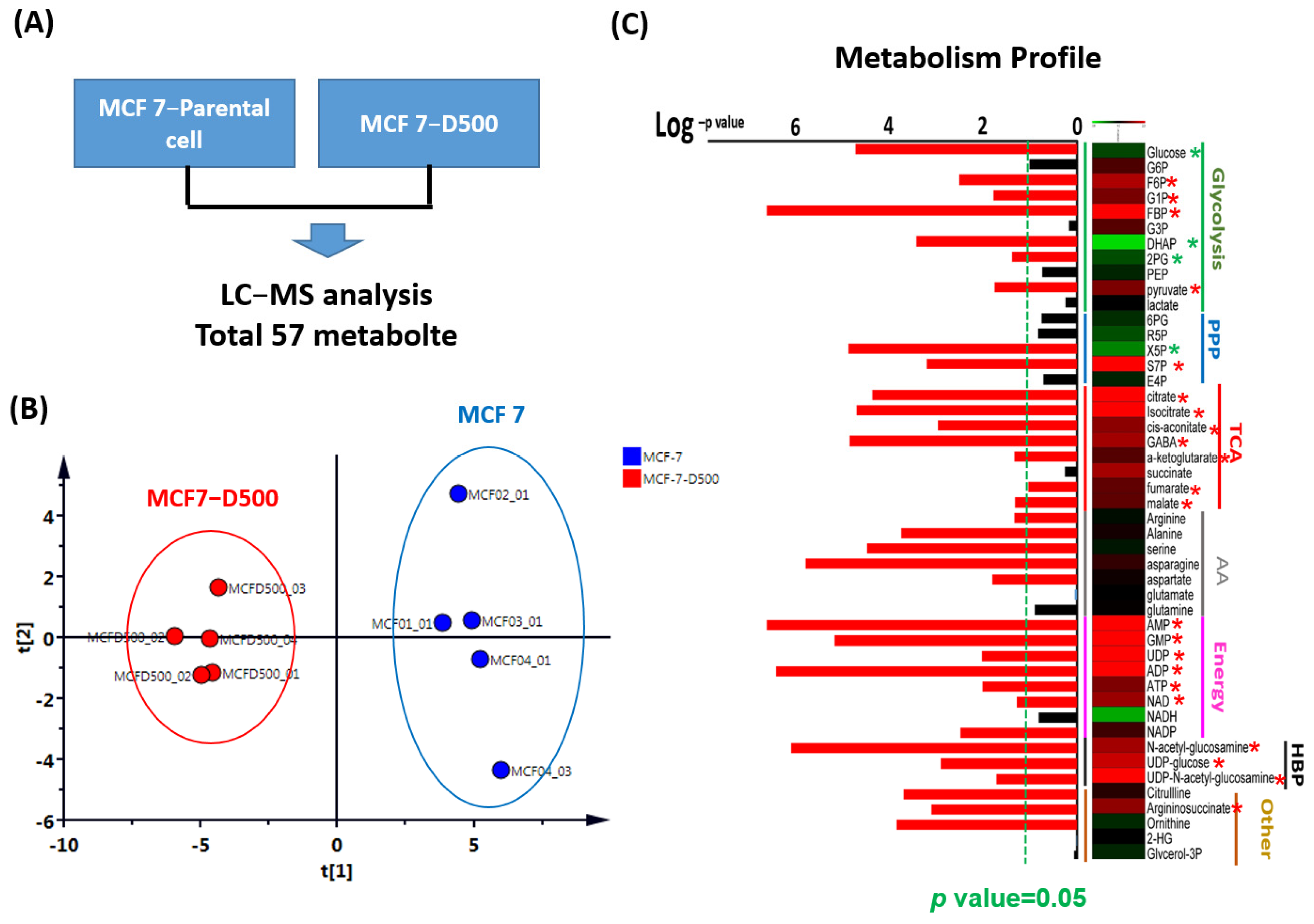 Ijms 23 12875 g003 Ijms 23 12875 g003
