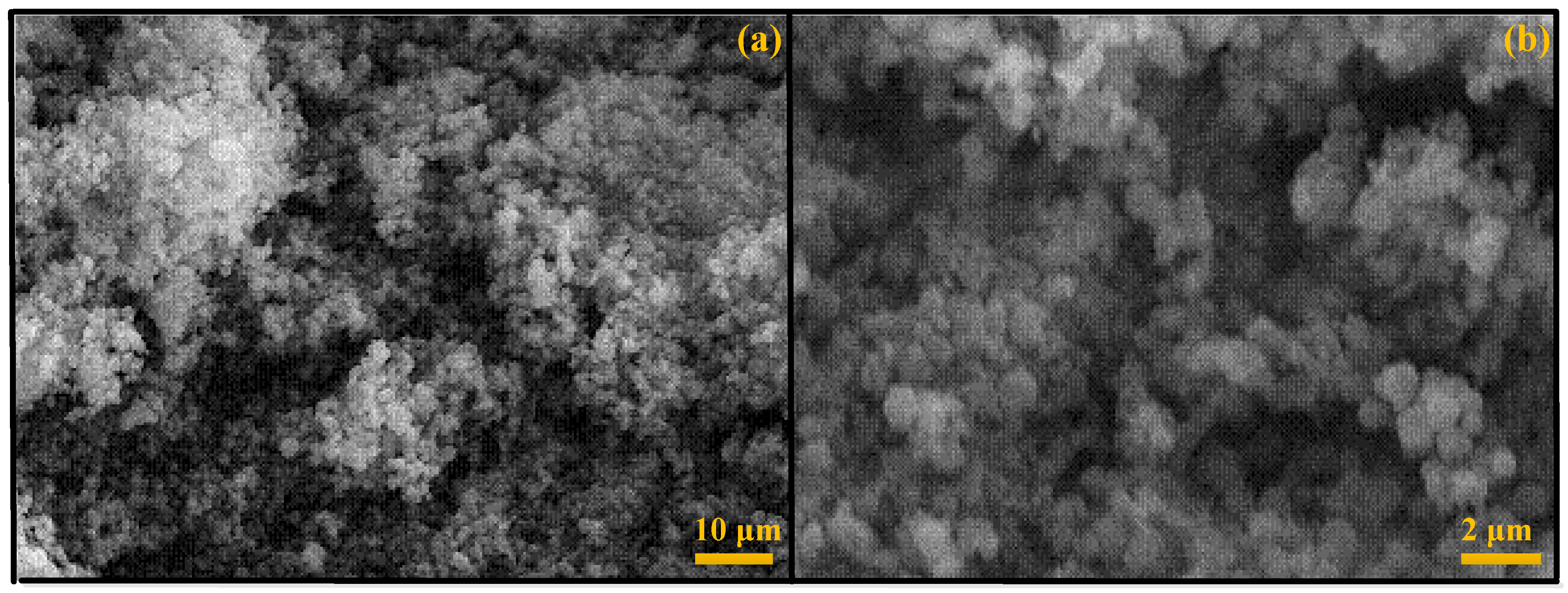 Ijms 23 12881 g005 Ijms 23 12881 g005