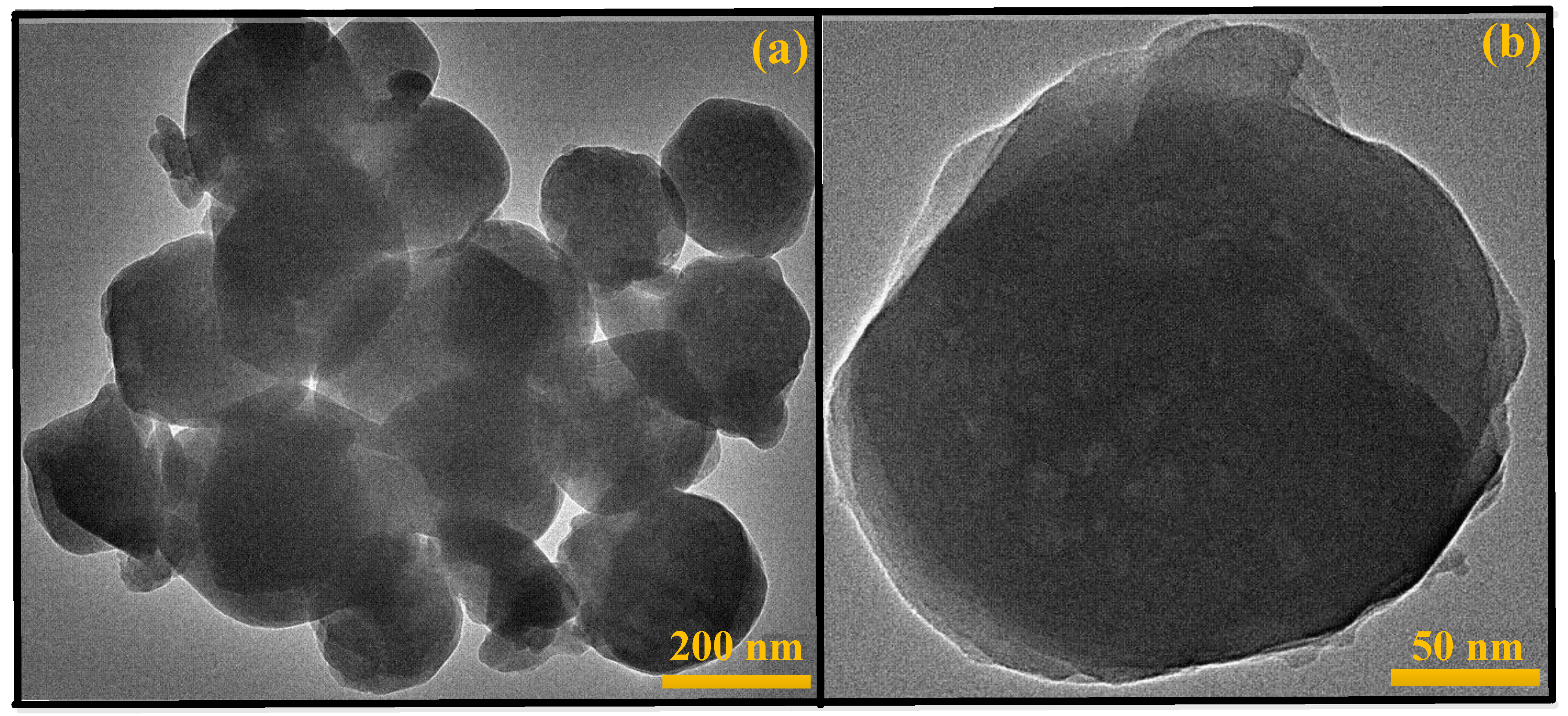 Ijms 23 12881 g006 Ijms 23 12881 g006