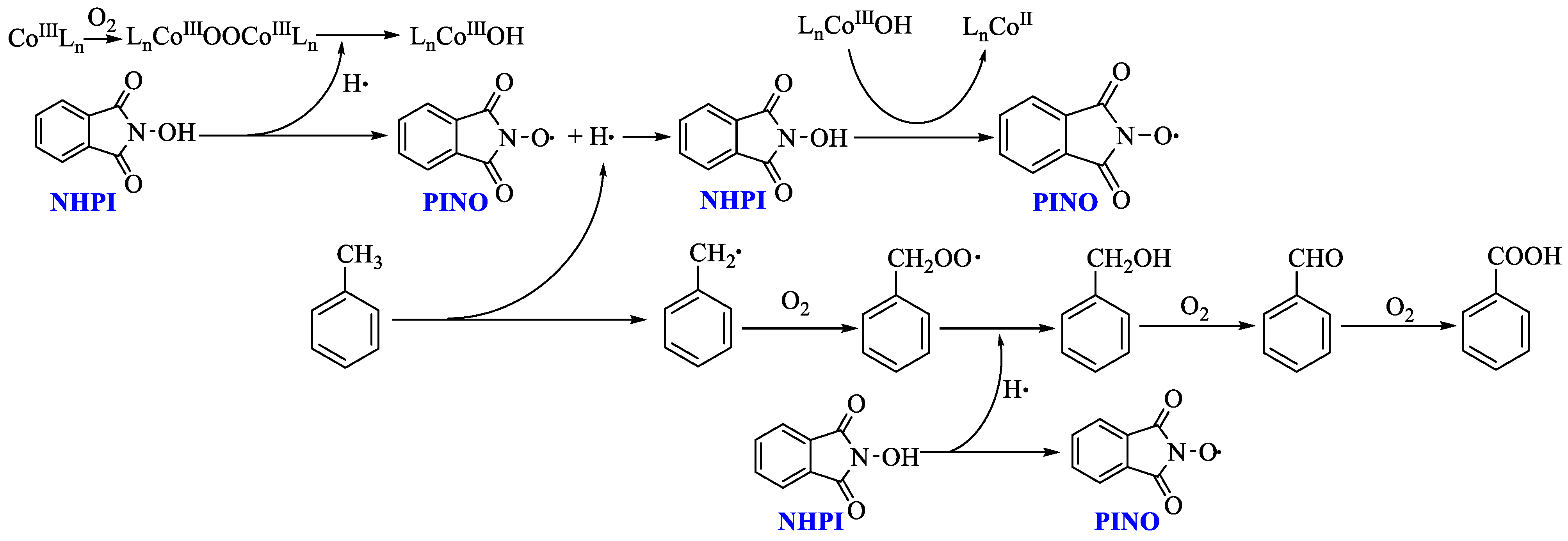 Ijms 23 12881 g012 Ijms 23 12881 g012
