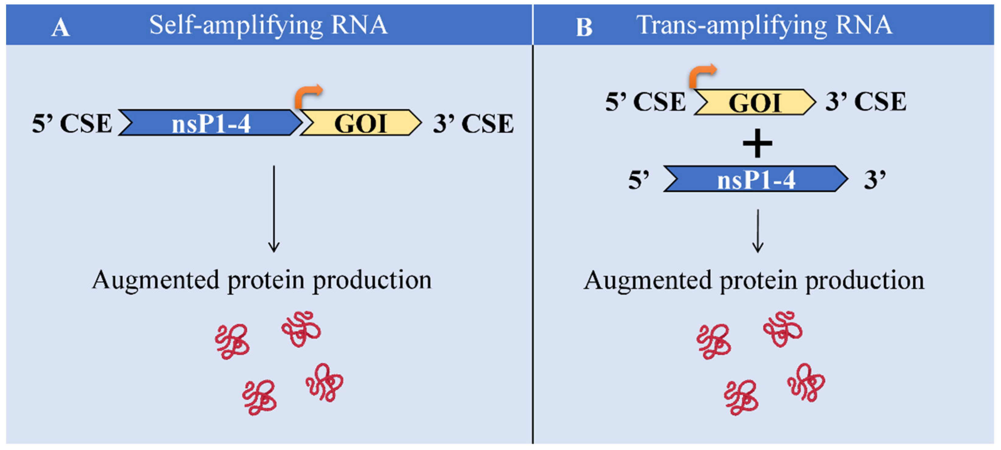 Ijms 23 12884 g004 Ijms 23 12884 g004