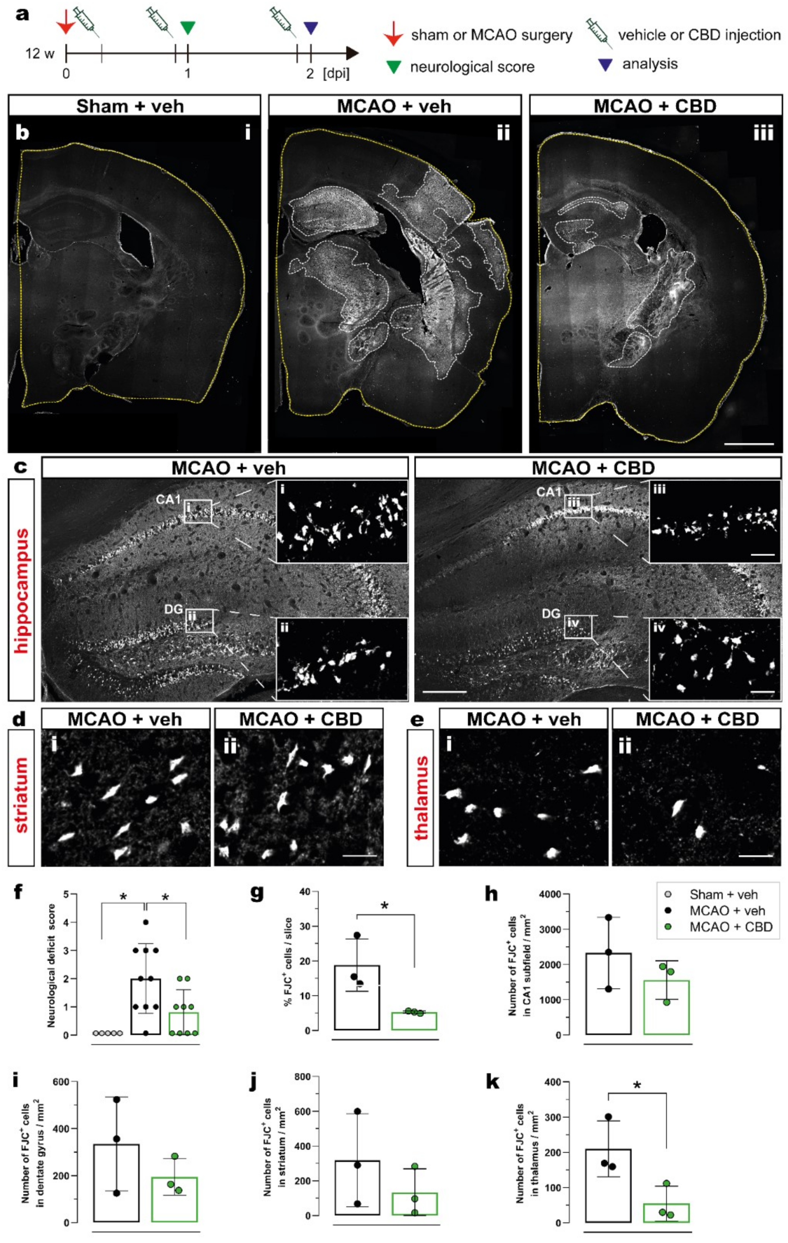 Ijms 23 12886 g001 Ijms 23 12886 g001