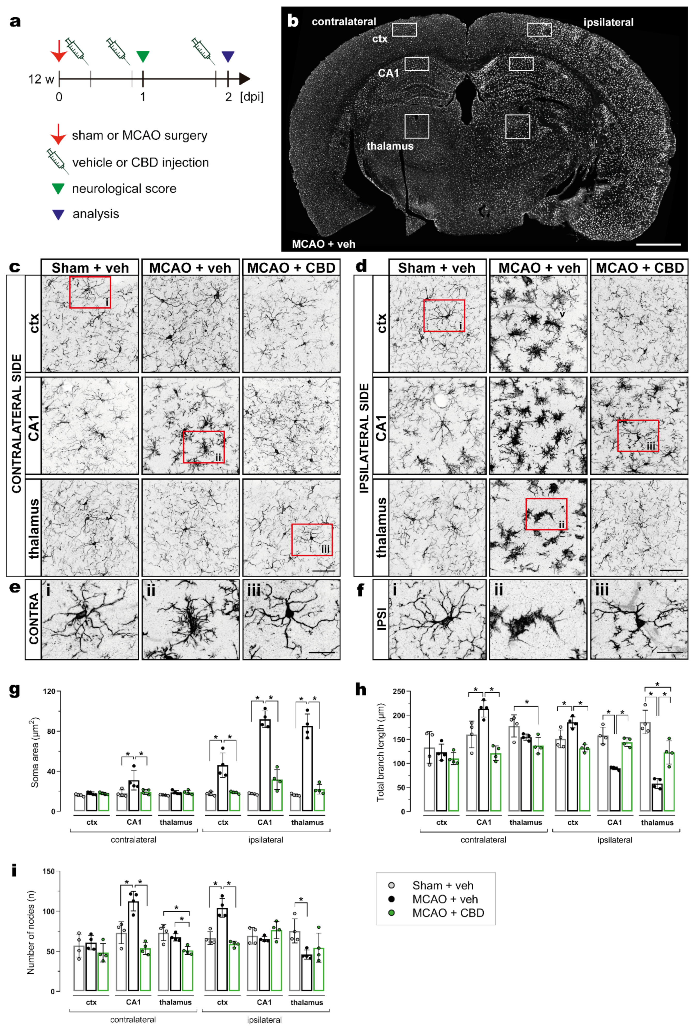 Ijms 23 12886 g002 Ijms 23 12886 g002