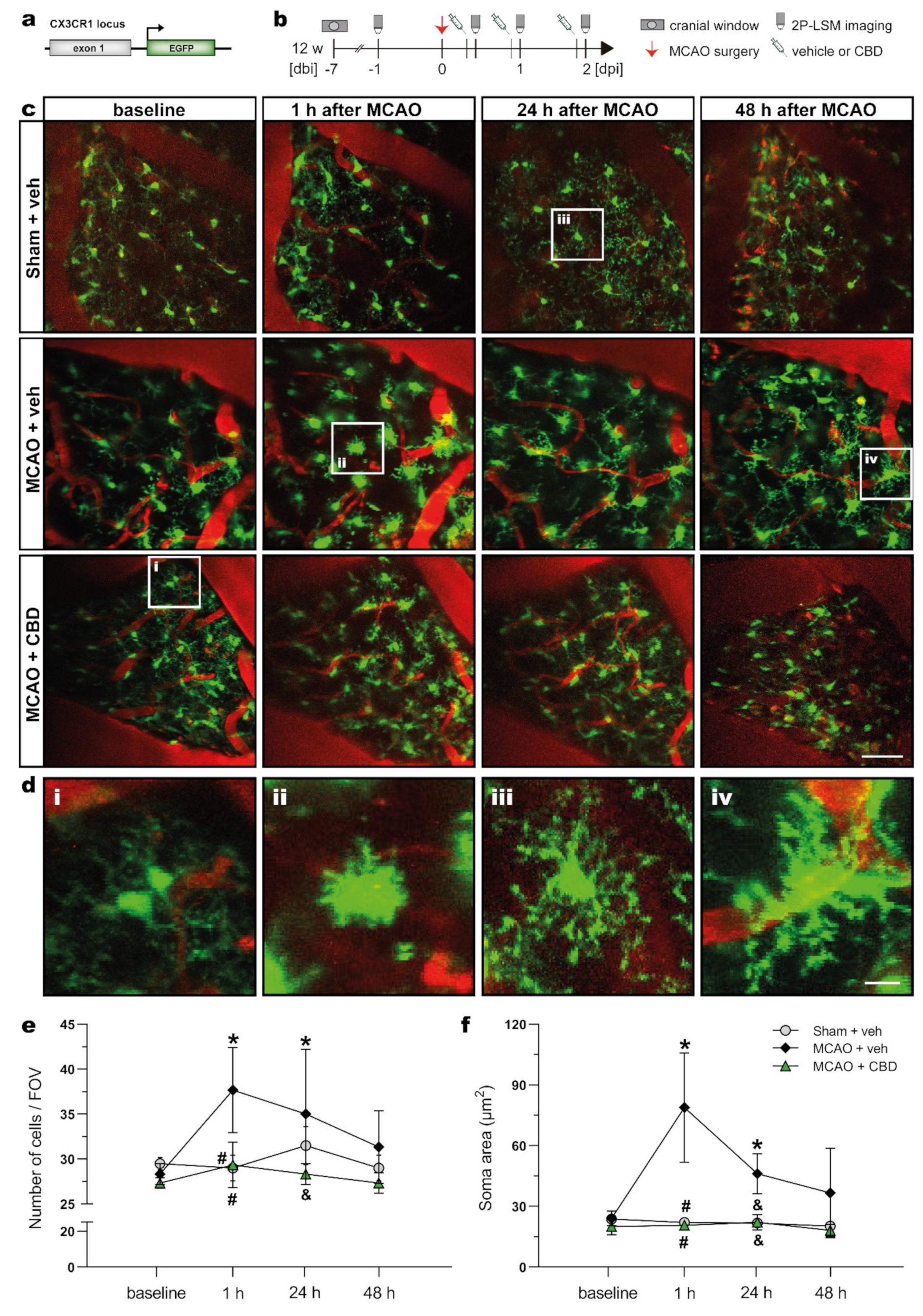 Ijms 23 12886 g003 Ijms 23 12886 g003