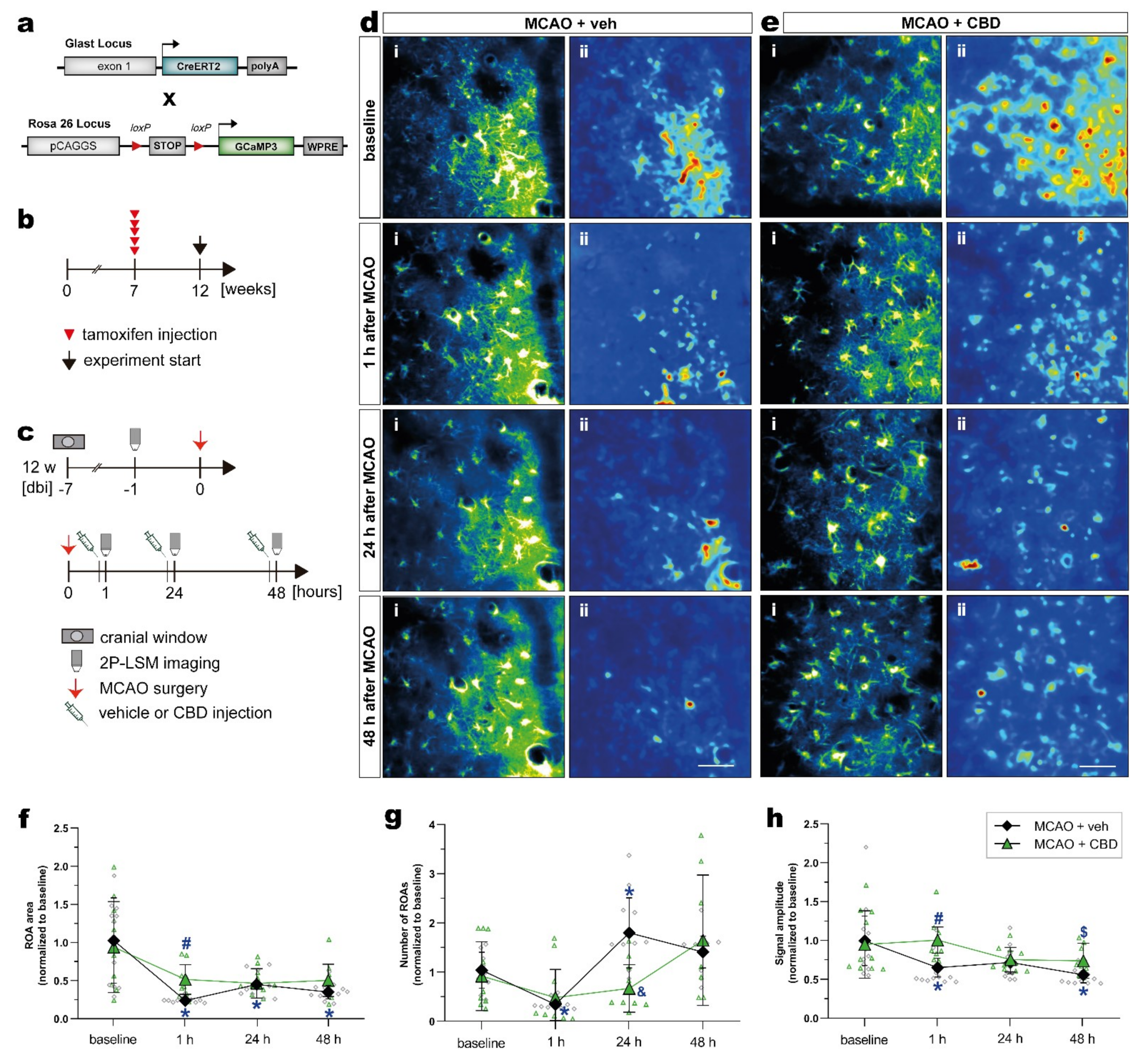 Ijms 23 12886 g004 Ijms 23 12886 g004