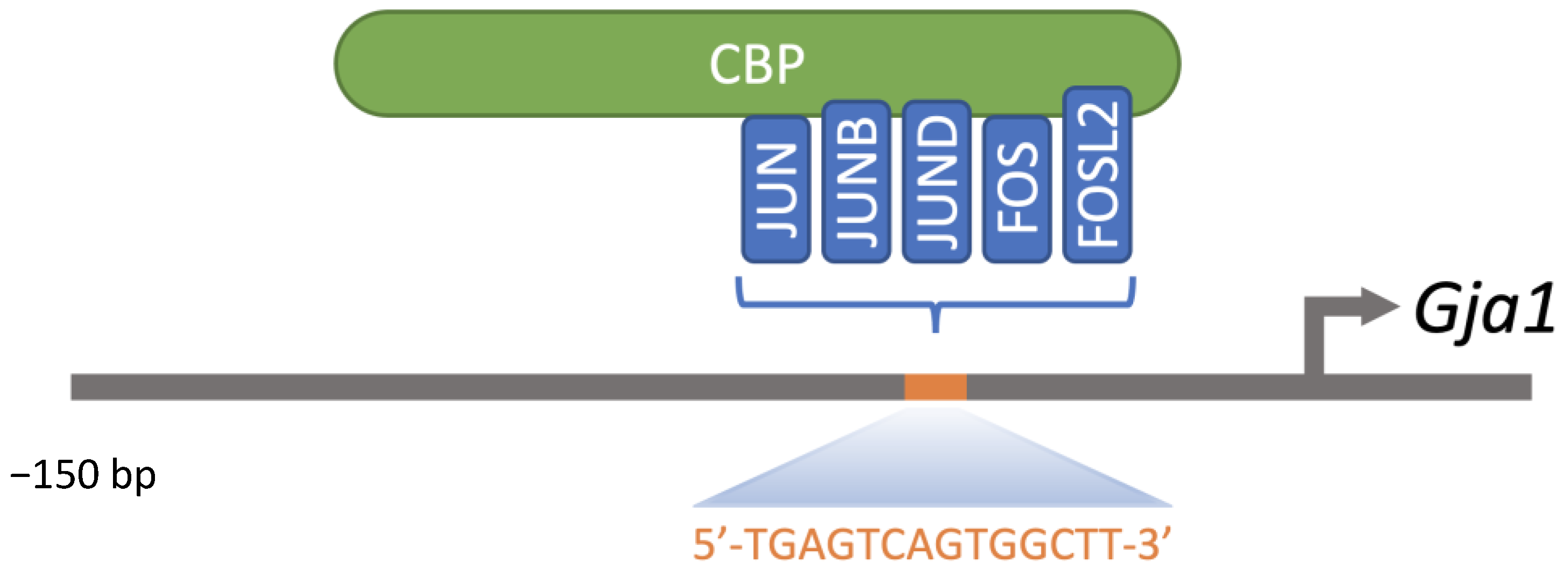 Ijms 23 12887 g005 Ijms 23 12887 g005