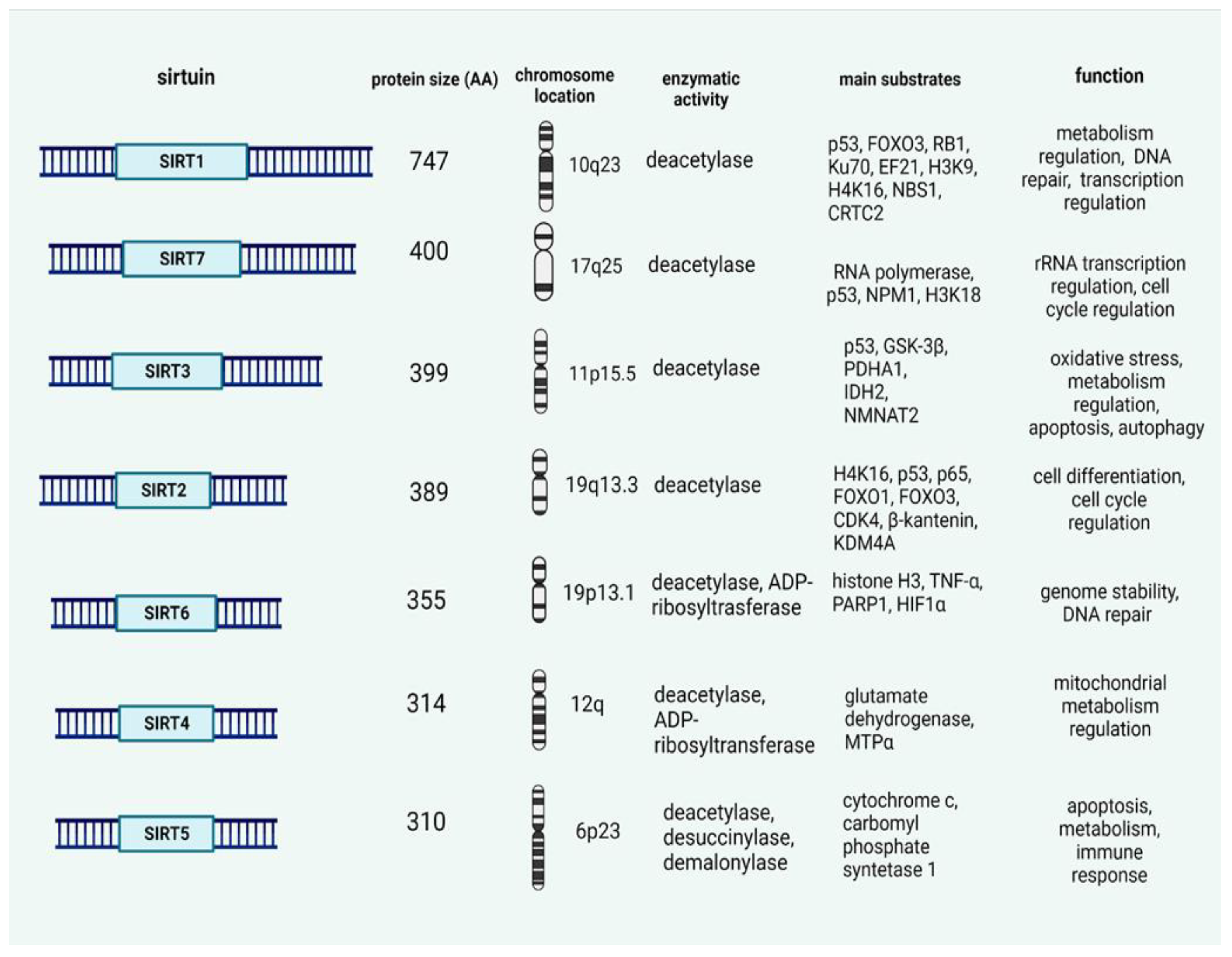 Ijms 23 12889 g002 Ijms 23 12889 g002