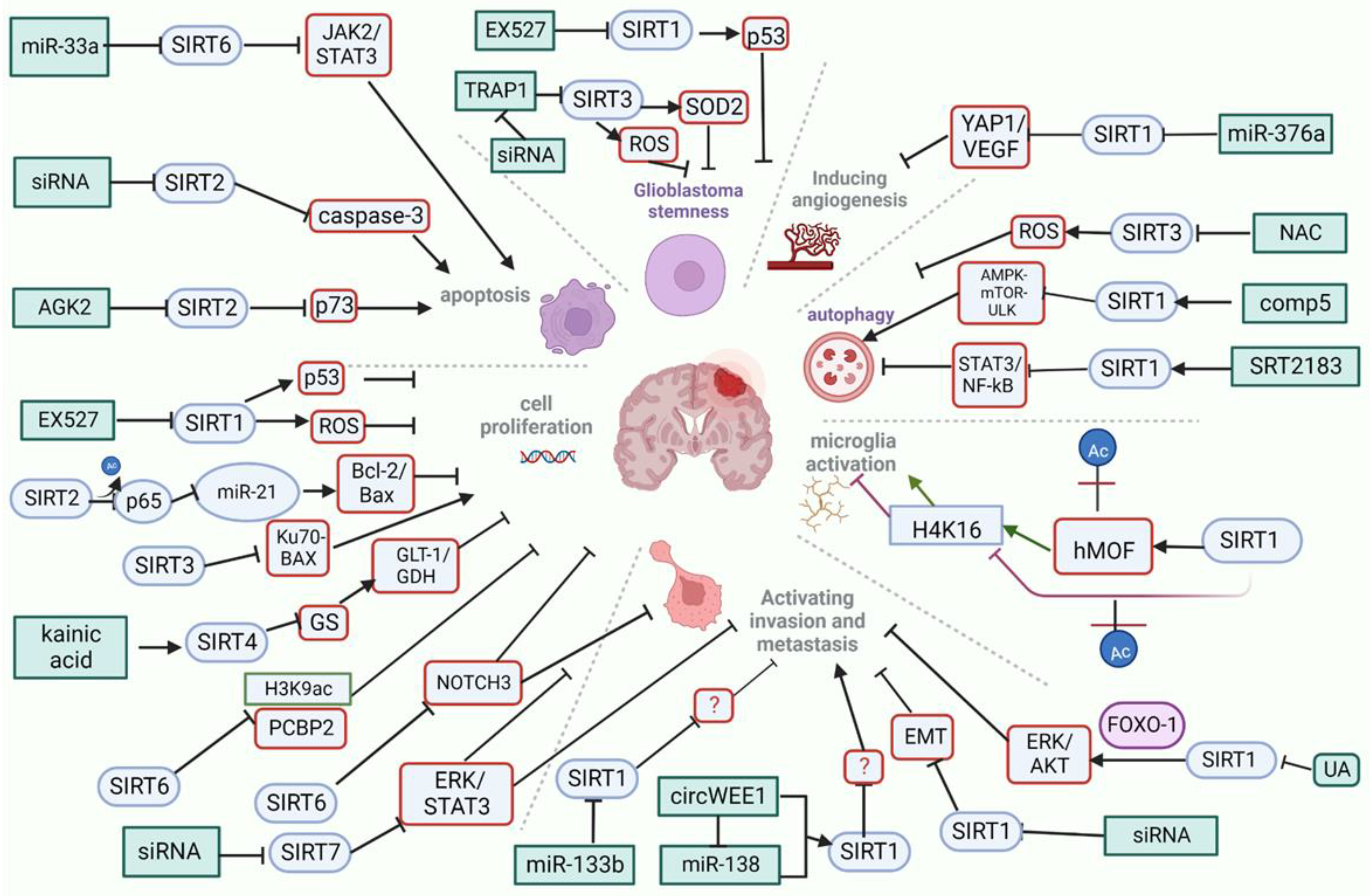 Ijms 23 12889 g005 Ijms 23 12889 g005