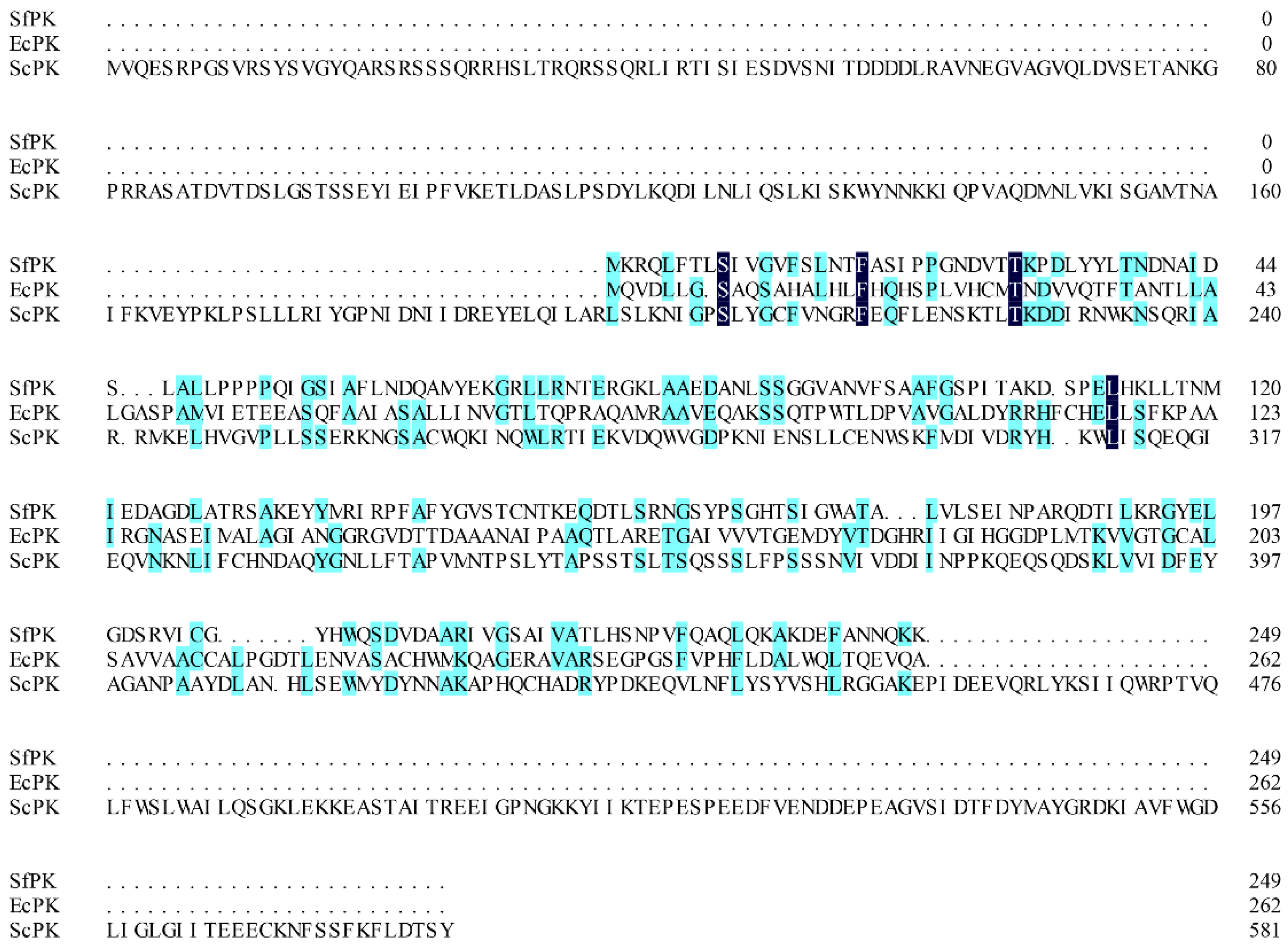 Ijms 23 12904 g001 Ijms 23 12904 g001