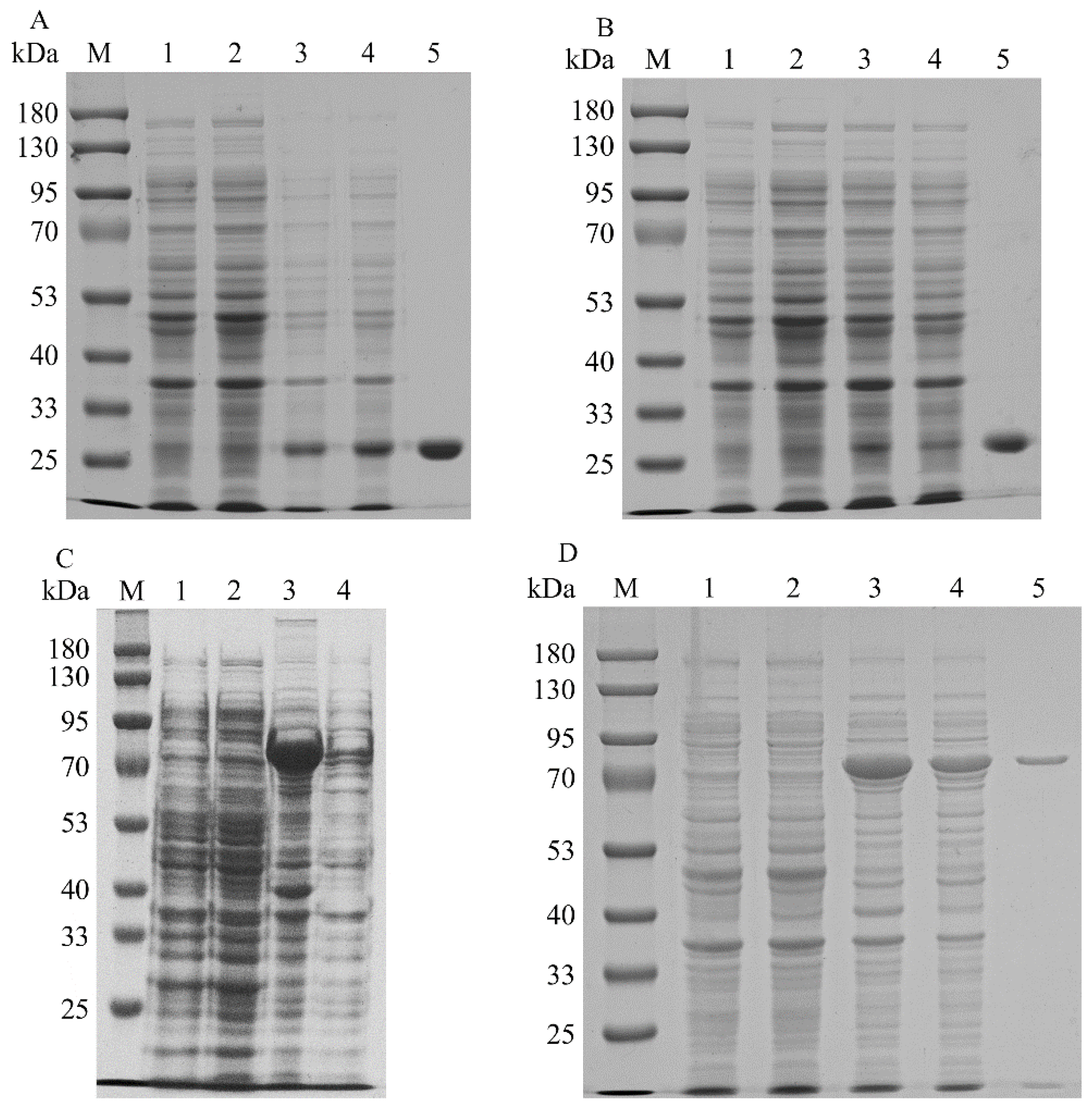 Ijms 23 12904 g002 Ijms 23 12904 g002