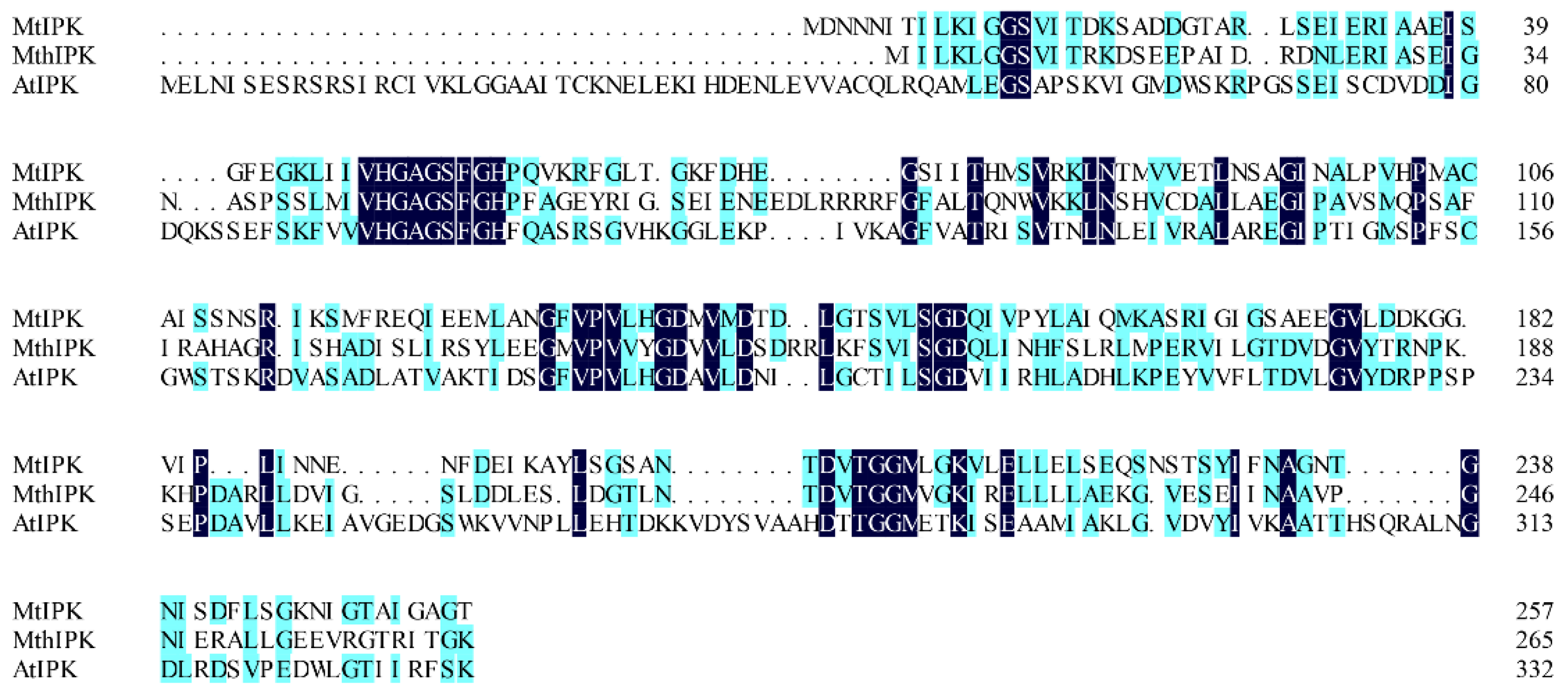 Ijms 23 12904 g006 Ijms 23 12904 g006