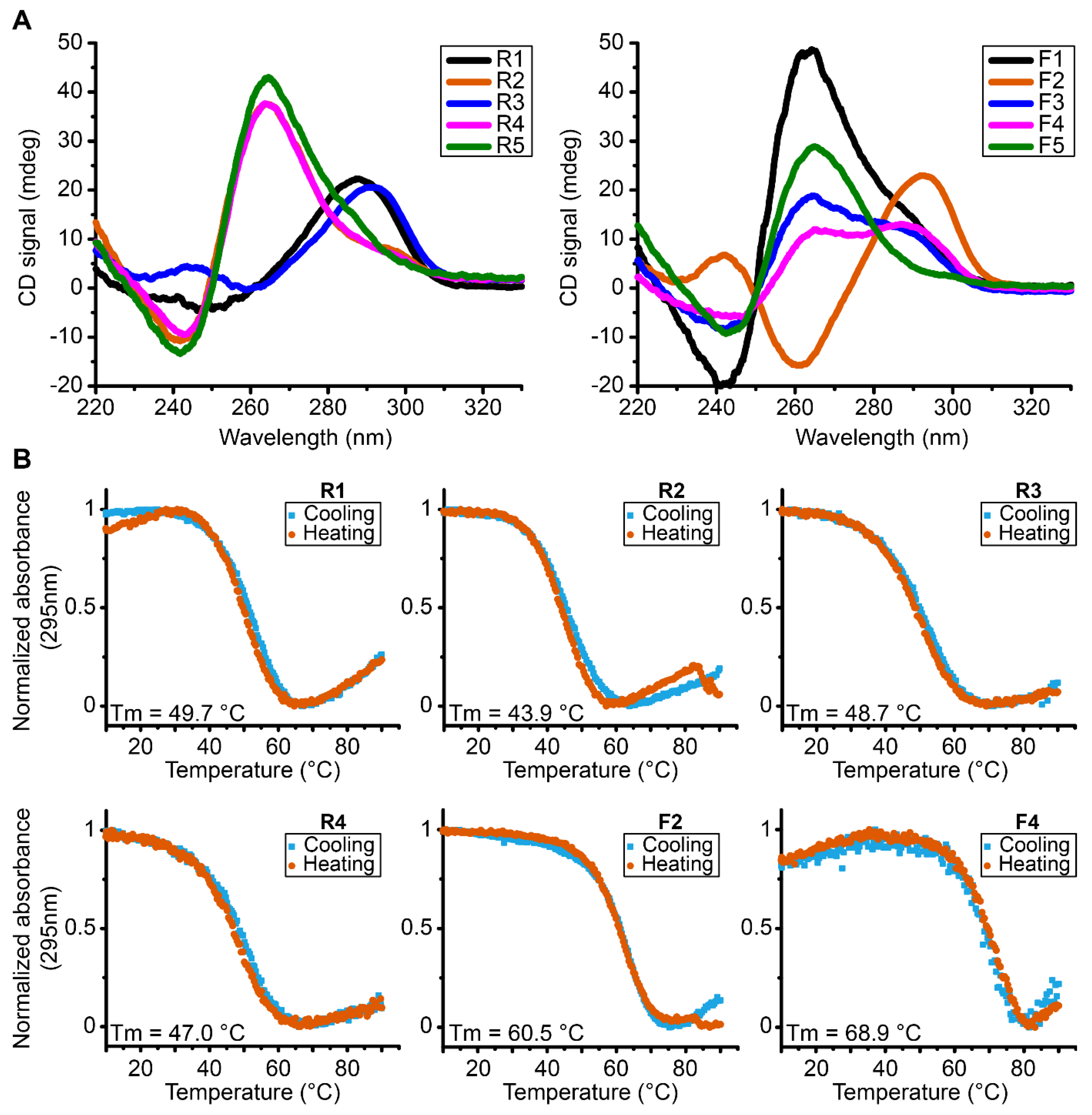 Ijms 23 12905 g002 Ijms 23 12905 g002