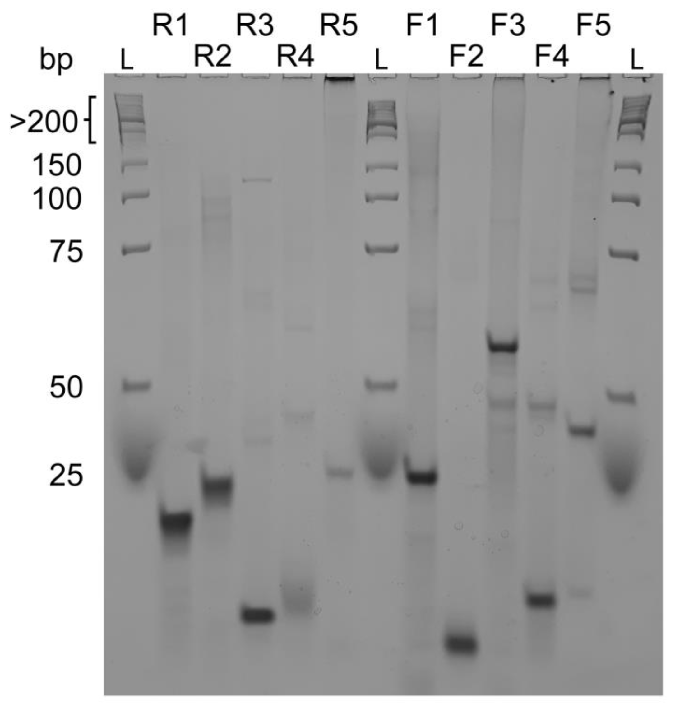 Ijms 23 12905 g003 Ijms 23 12905 g003