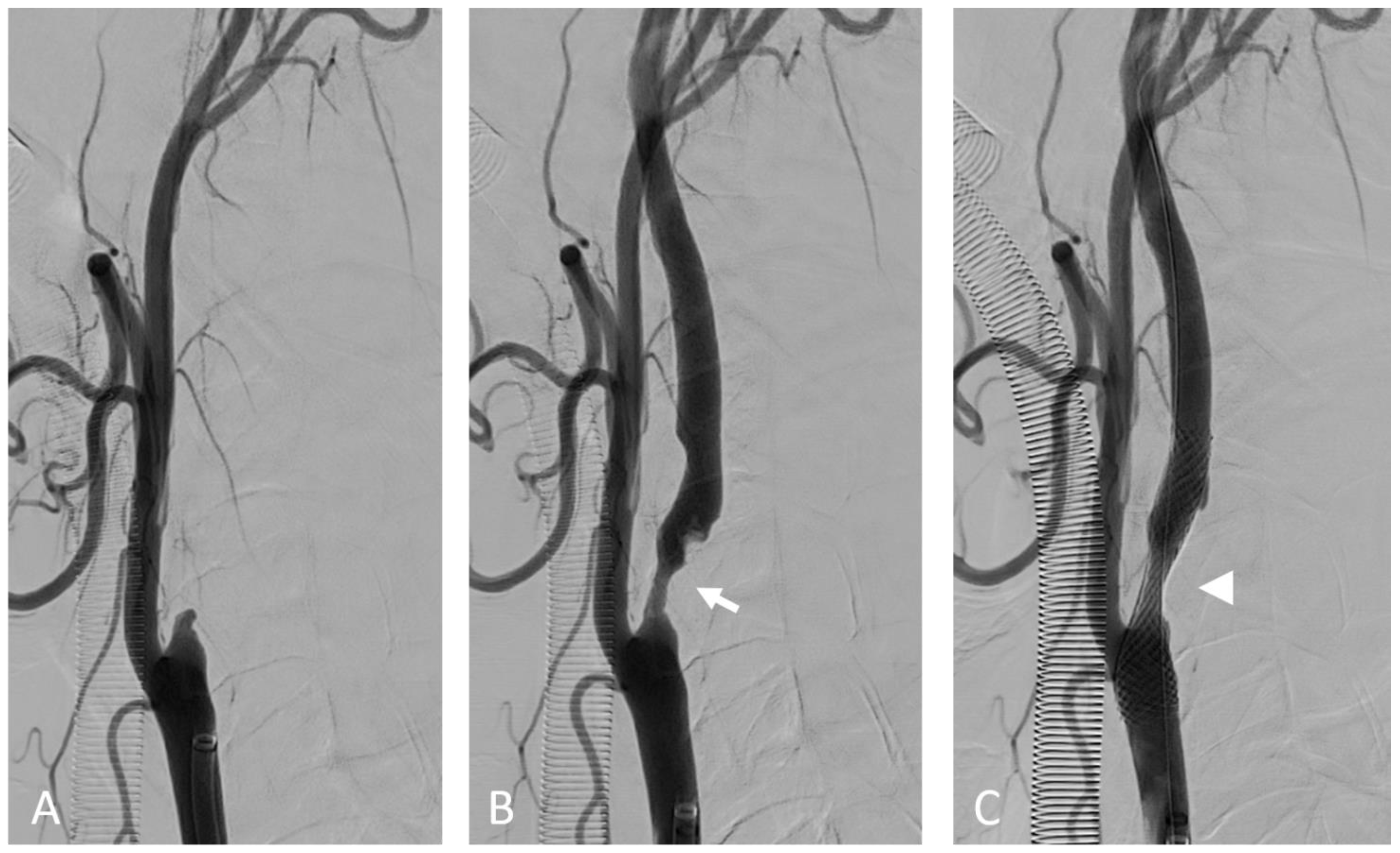 Ijms 23 12906 g004 Ijms 23 12906 g004