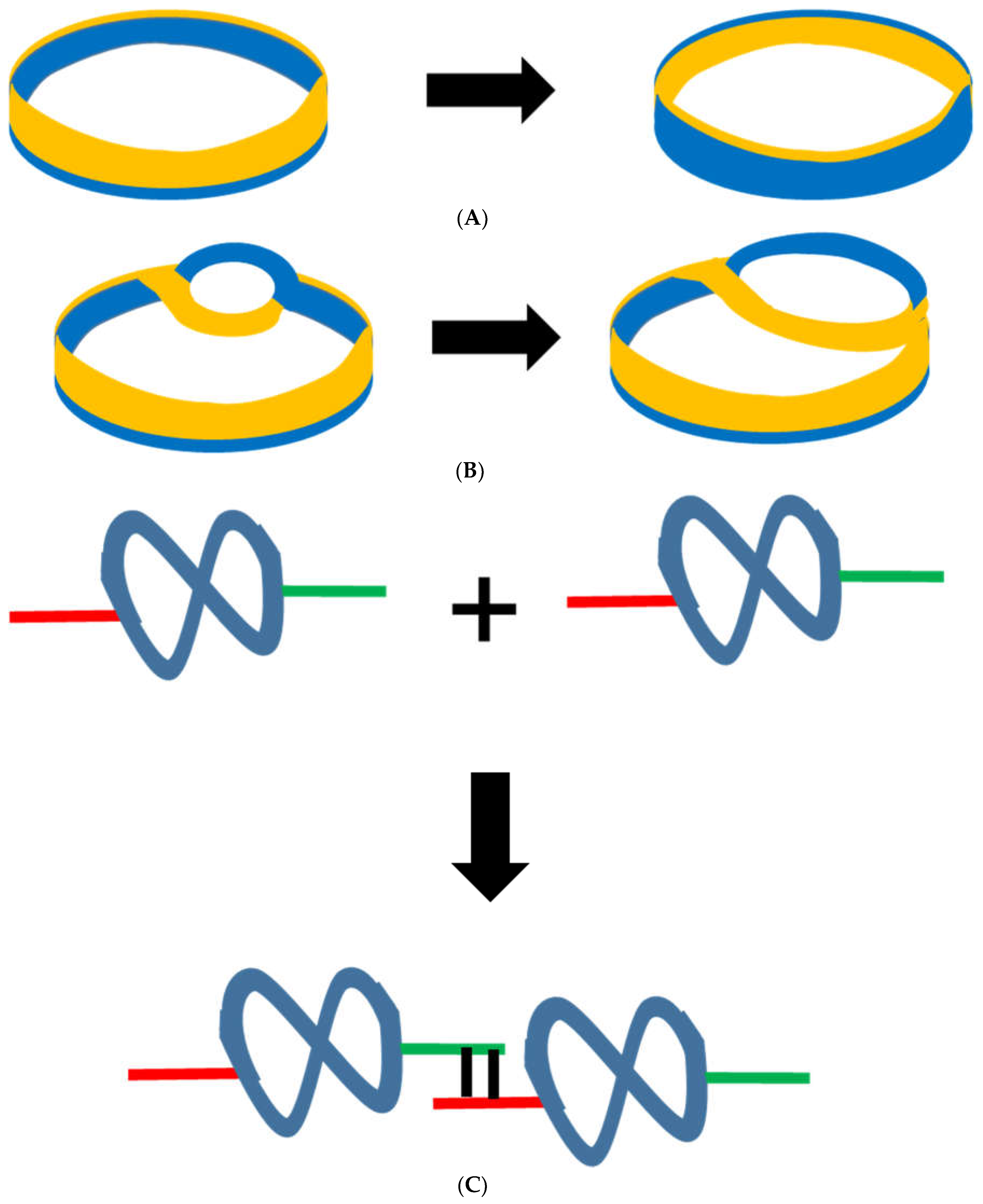 Ijms 23 12915 g002 Ijms 23 12915 g002