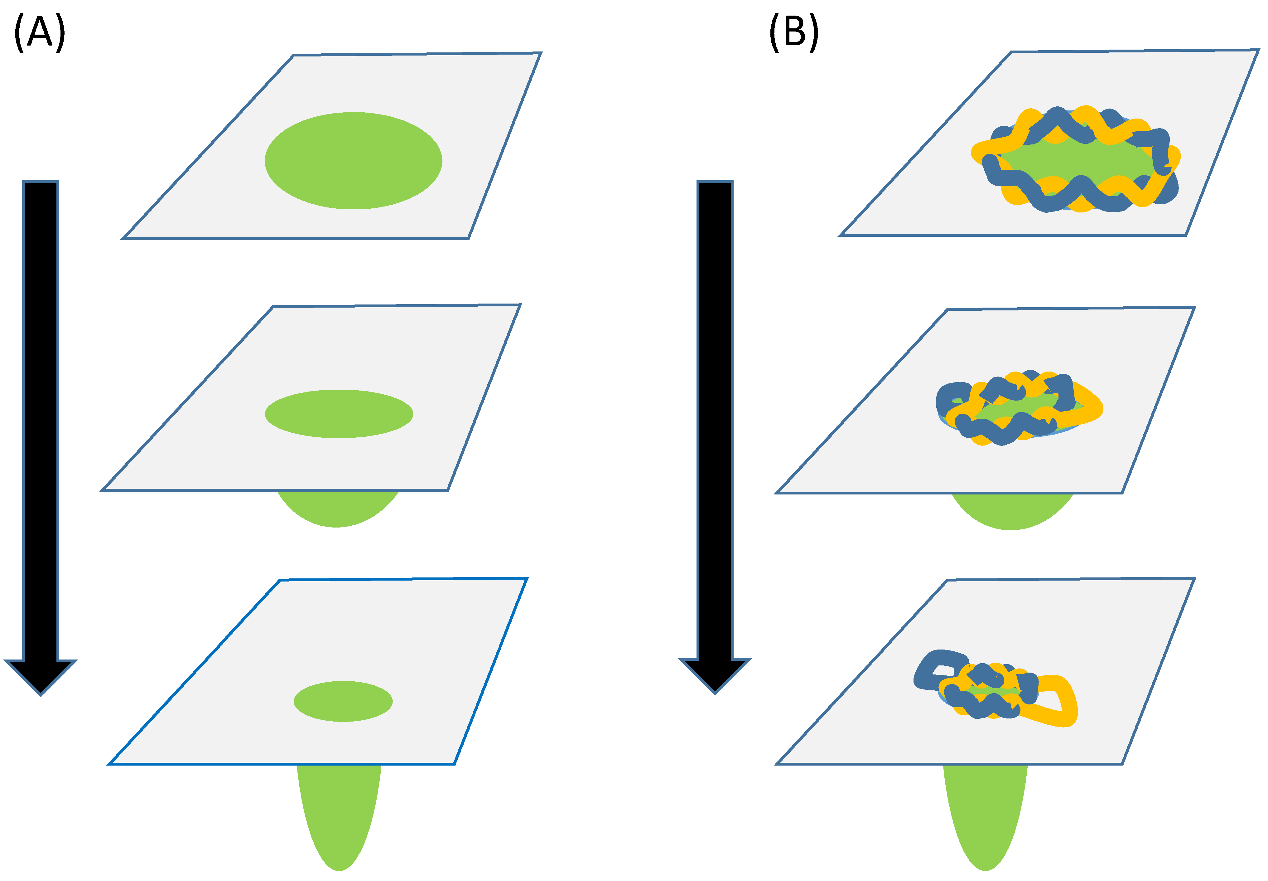 Ijms 23 12915 g003 Ijms 23 12915 g003