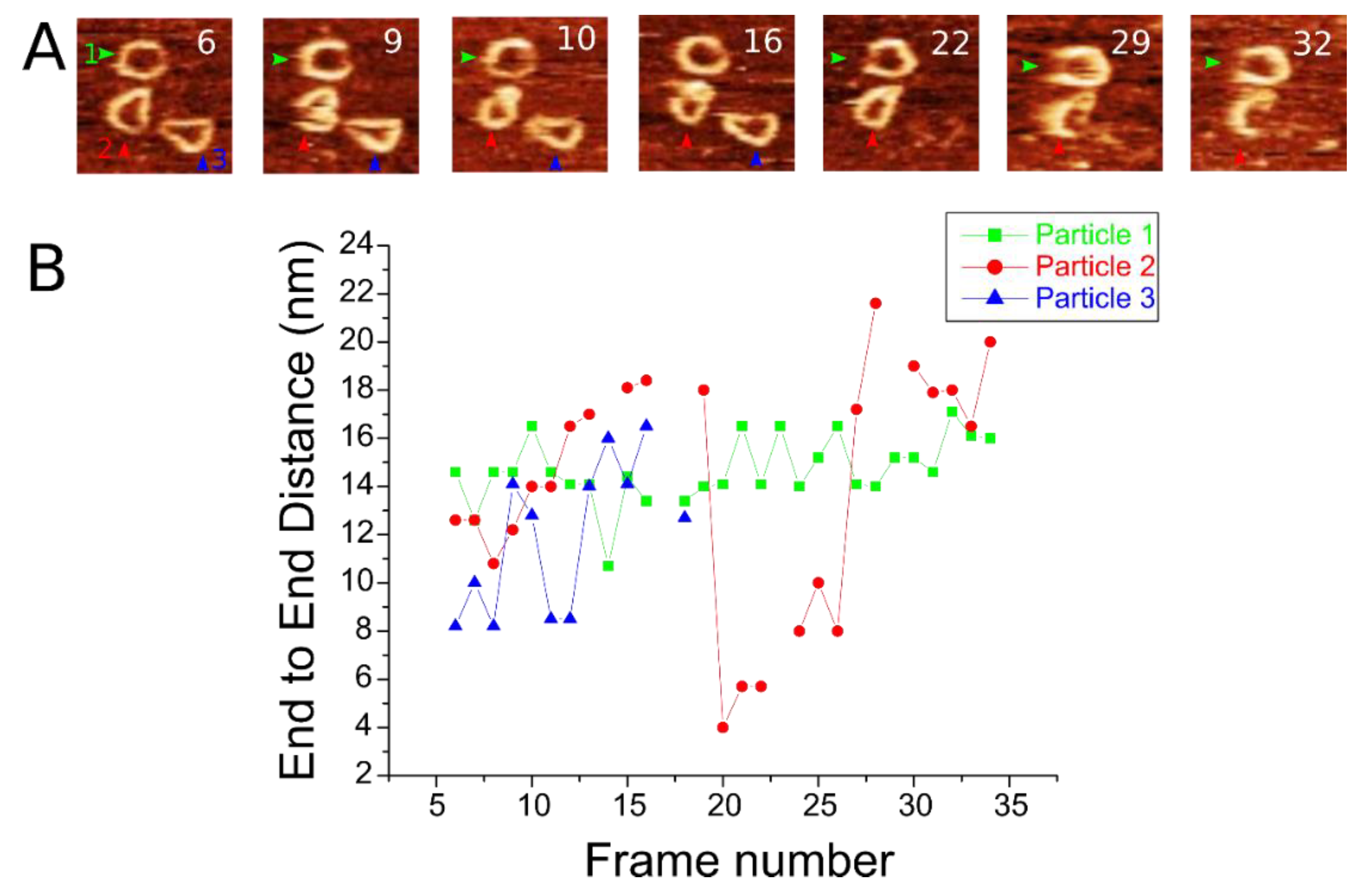 Ijms 23 12916 g005 Ijms 23 12916 g005