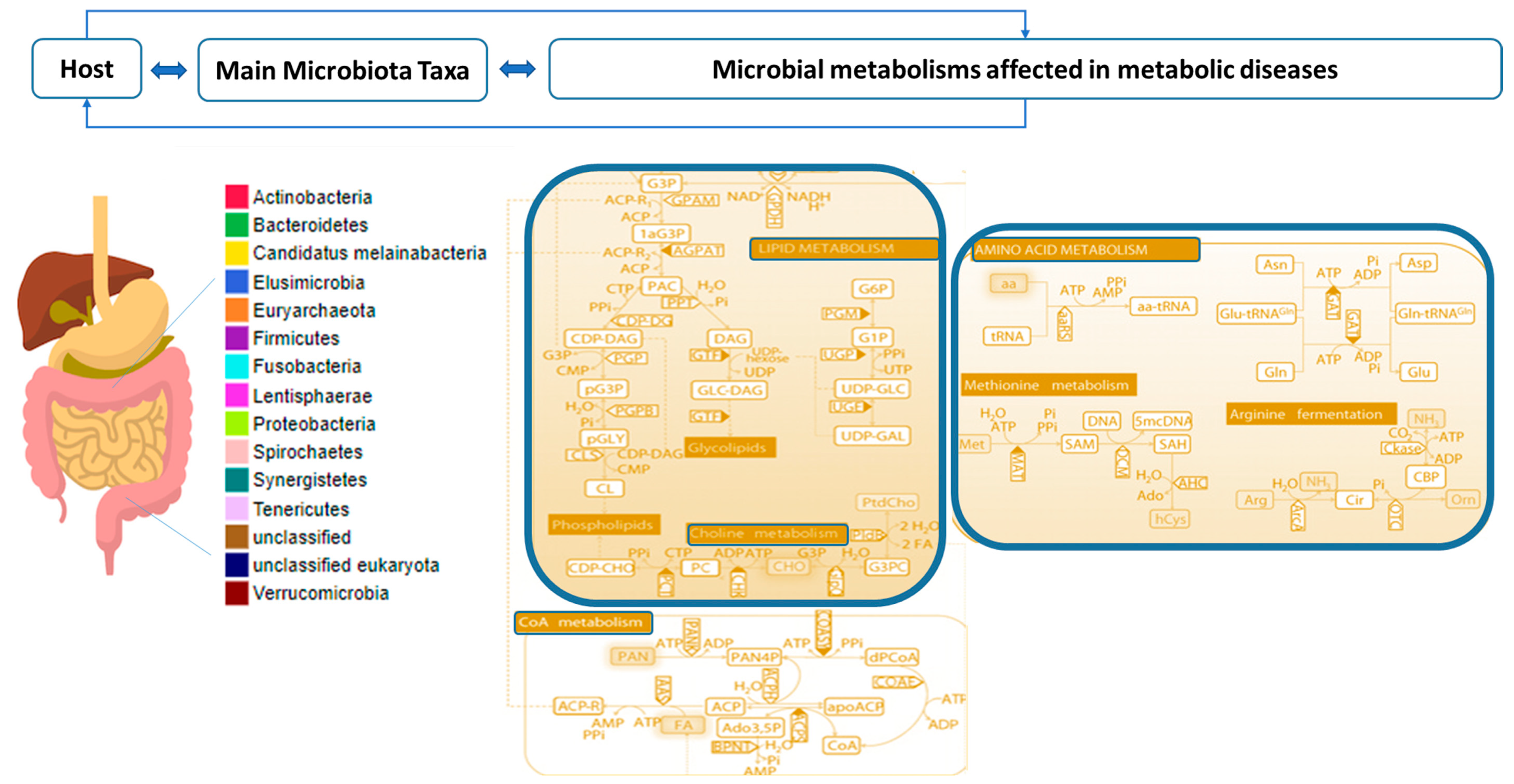 Ijms 23 12917 g003 Ijms 23 12917 g003