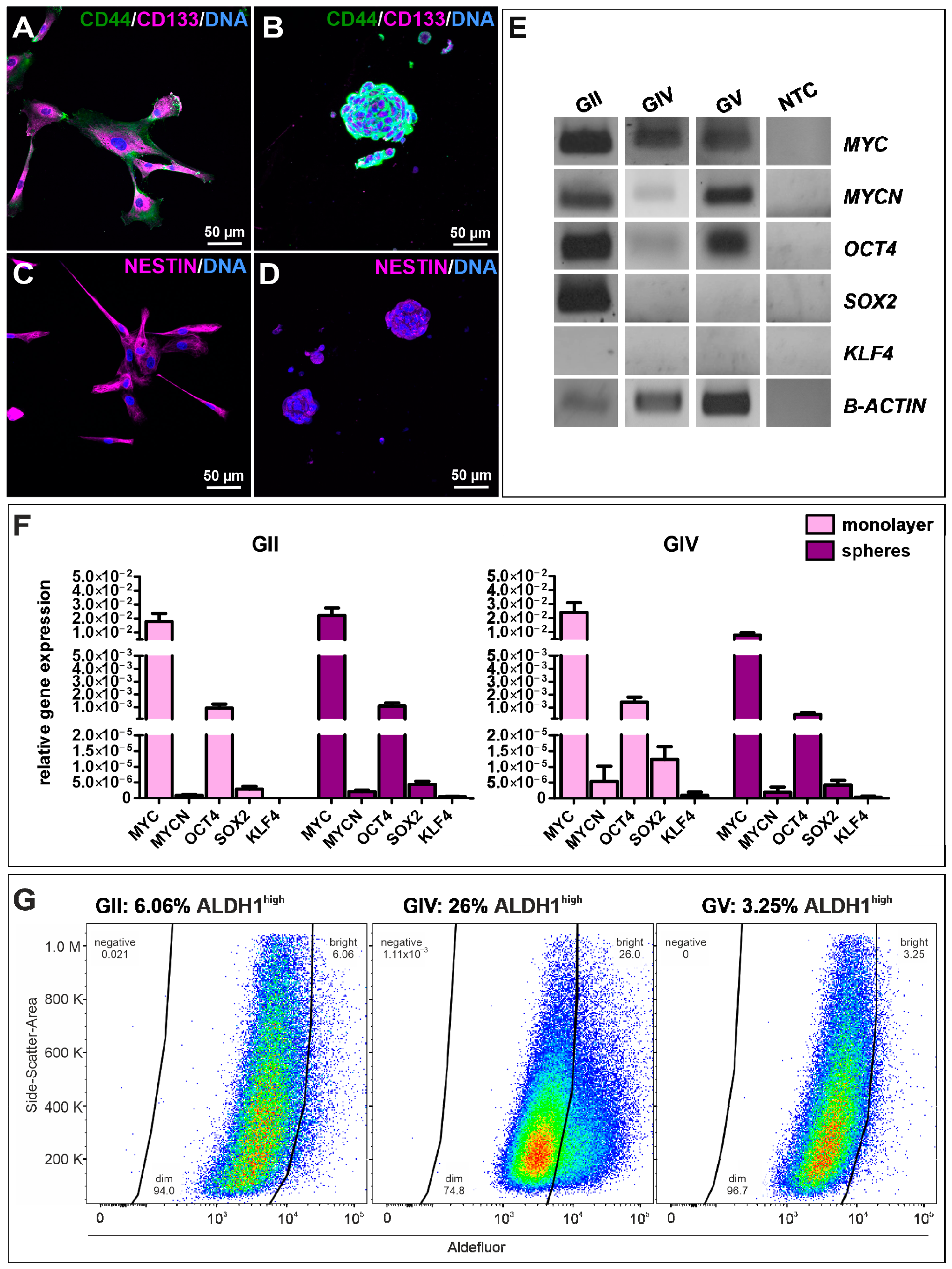 Ijms 23 12919 g002 Ijms 23 12919 g002