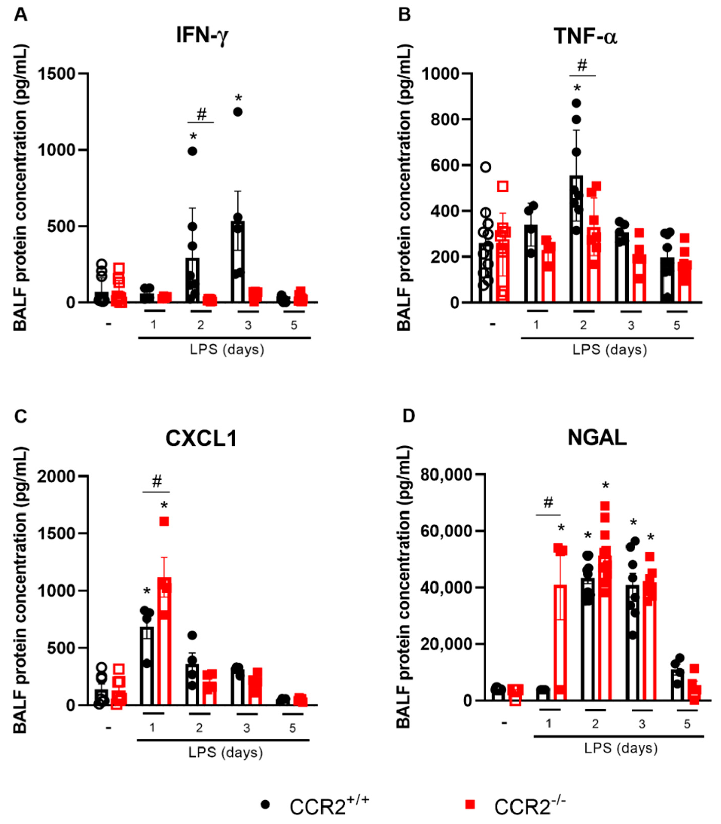 Ijms 23 12920 g002 Ijms 23 12920 g002