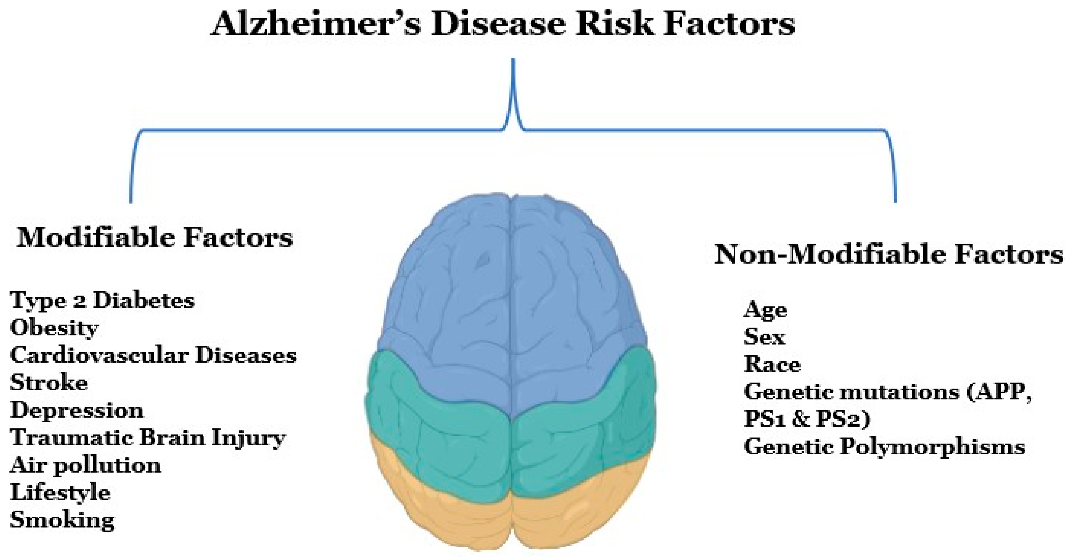 Low dopamine may indicate early Alzheimer's