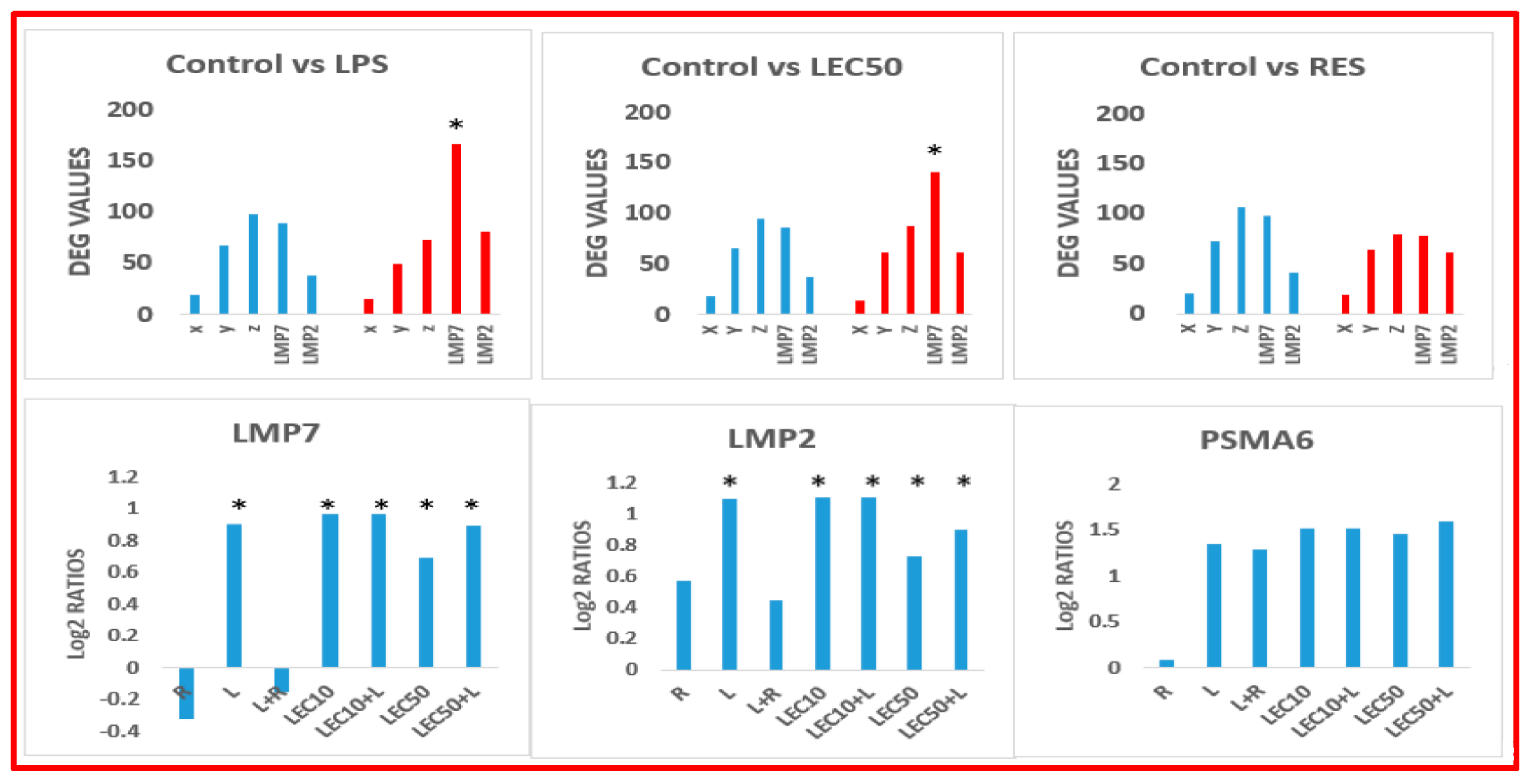 Ijms 23 12946 g004 Ijms 23 12946 g004