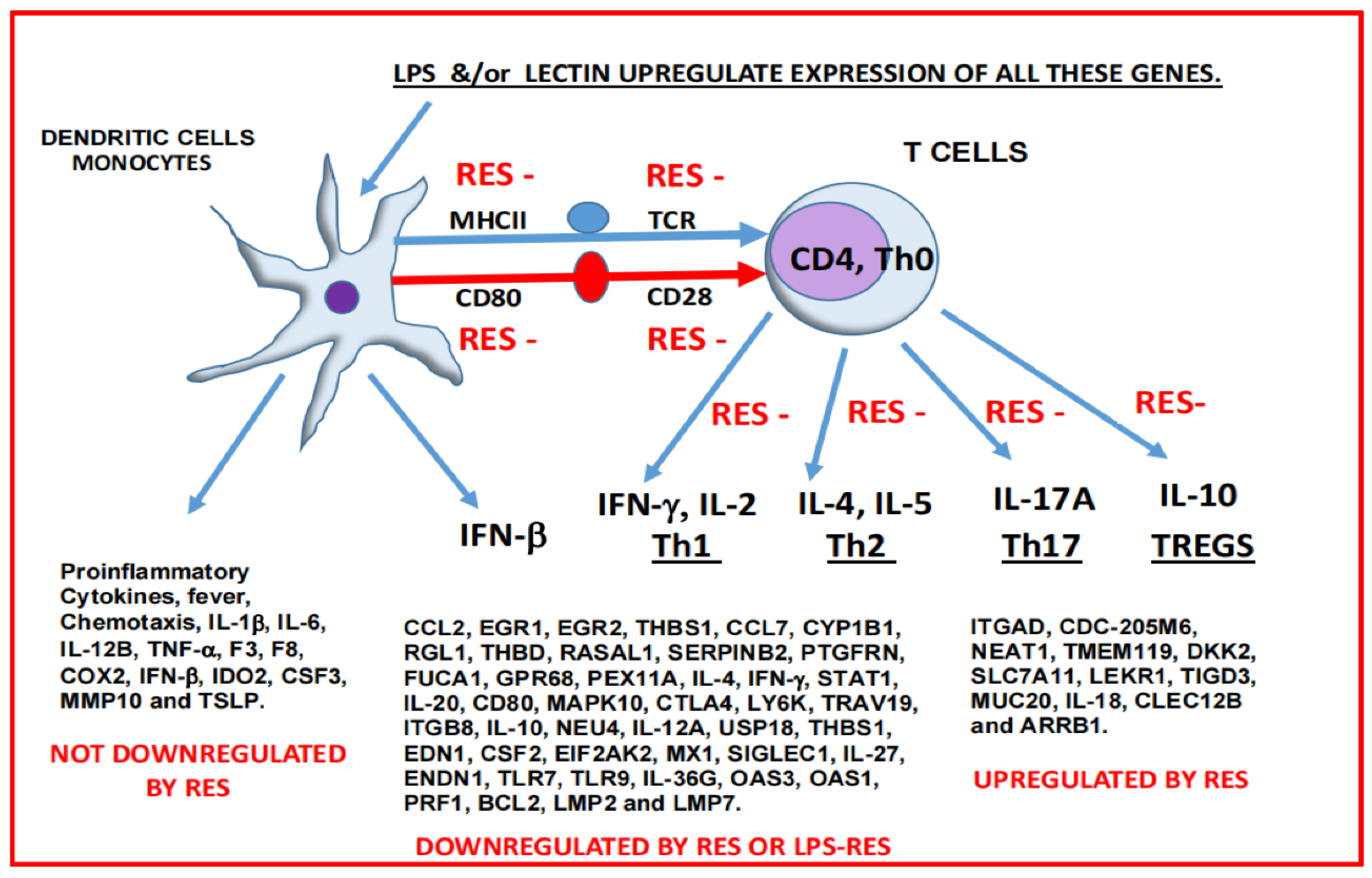Ijms 23 12946 g006 Ijms 23 12946 g006