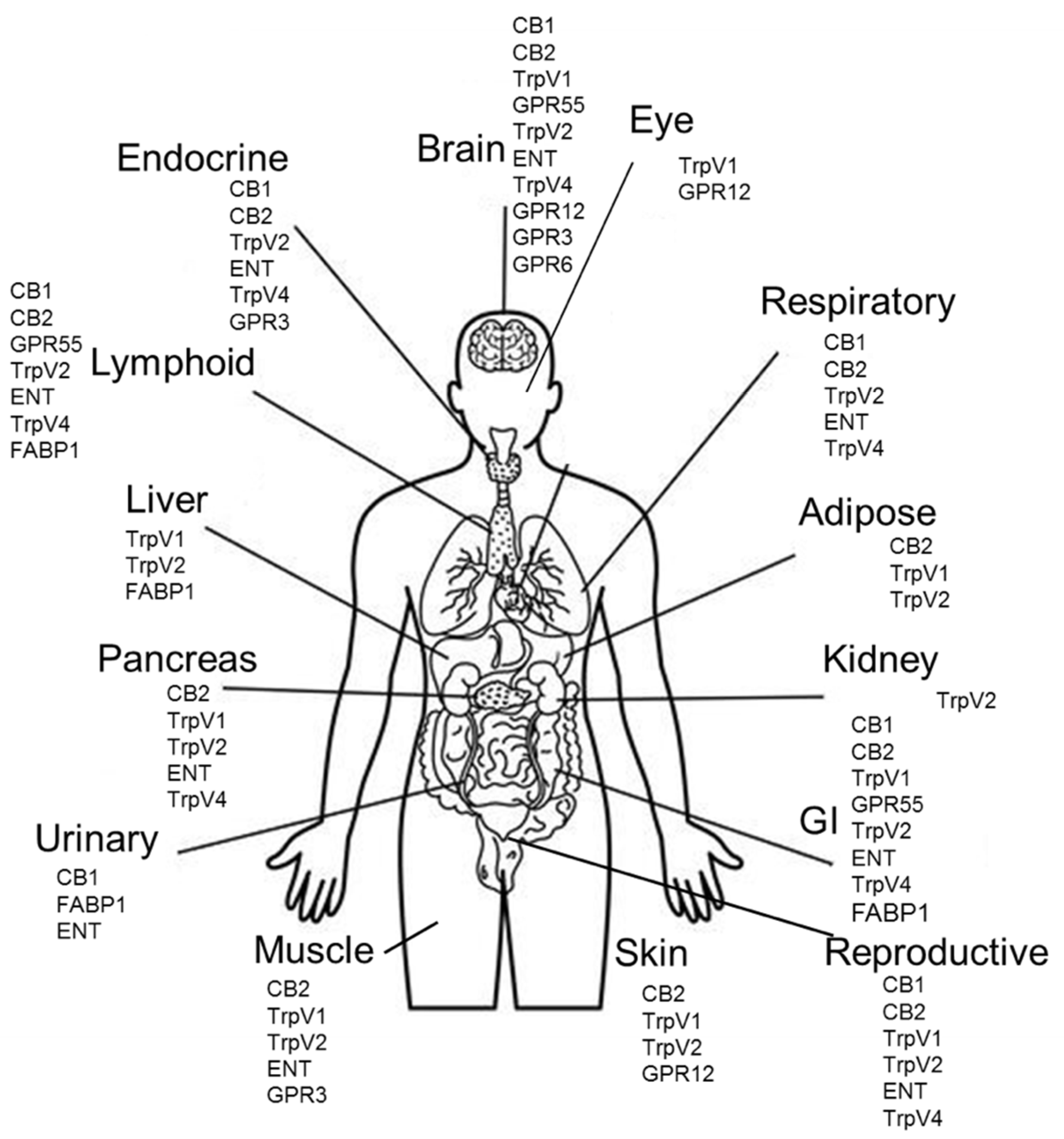 Ijms 23 12956 g001 Ijms 23 12956 g001