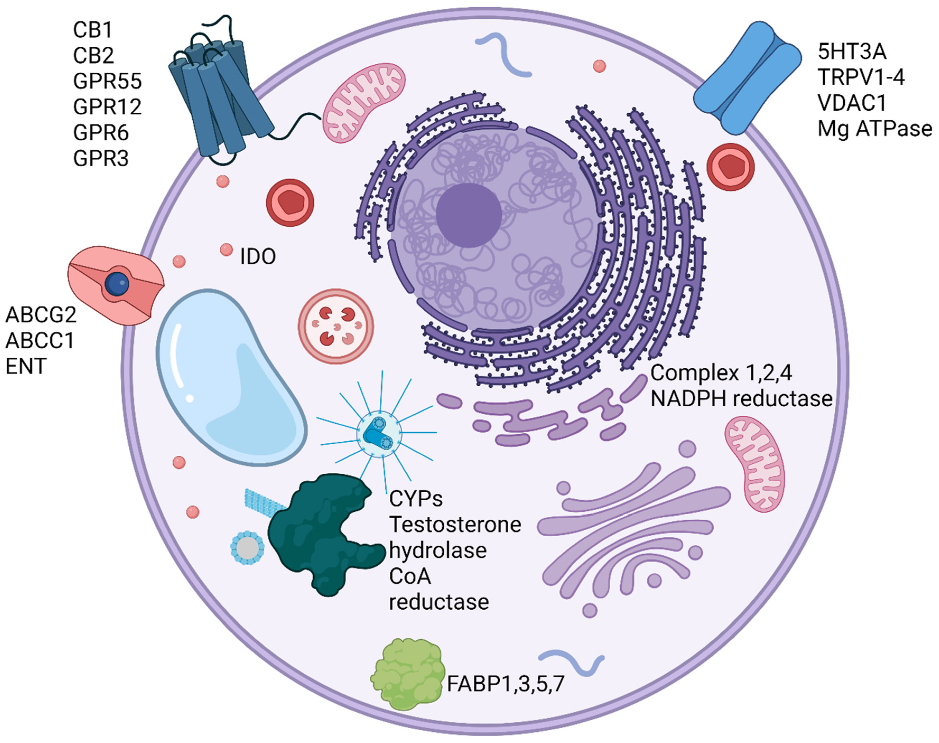 Ijms 23 12956 g002 Ijms 23 12956 g002