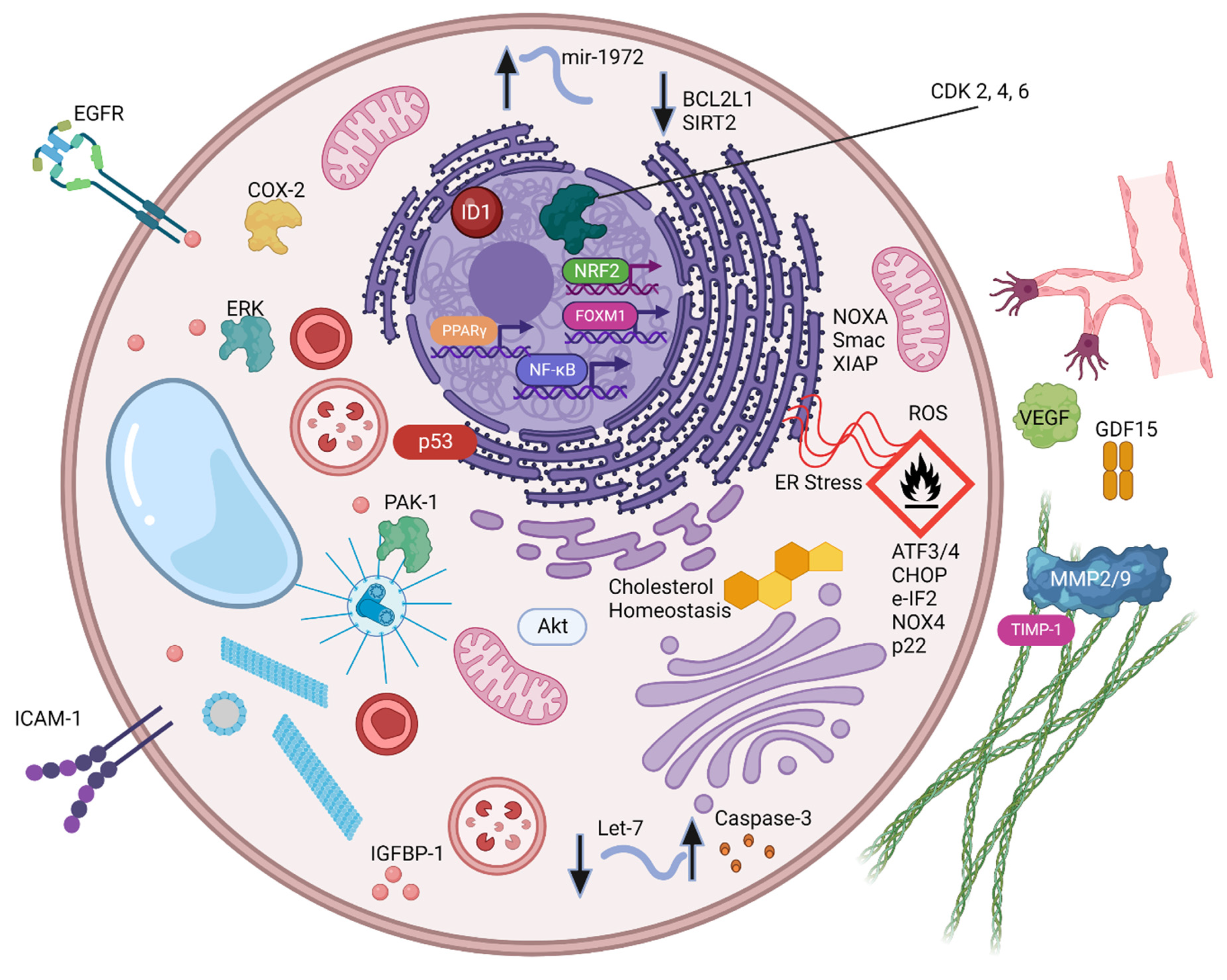 Ijms 23 12956 g003 Ijms 23 12956 g003