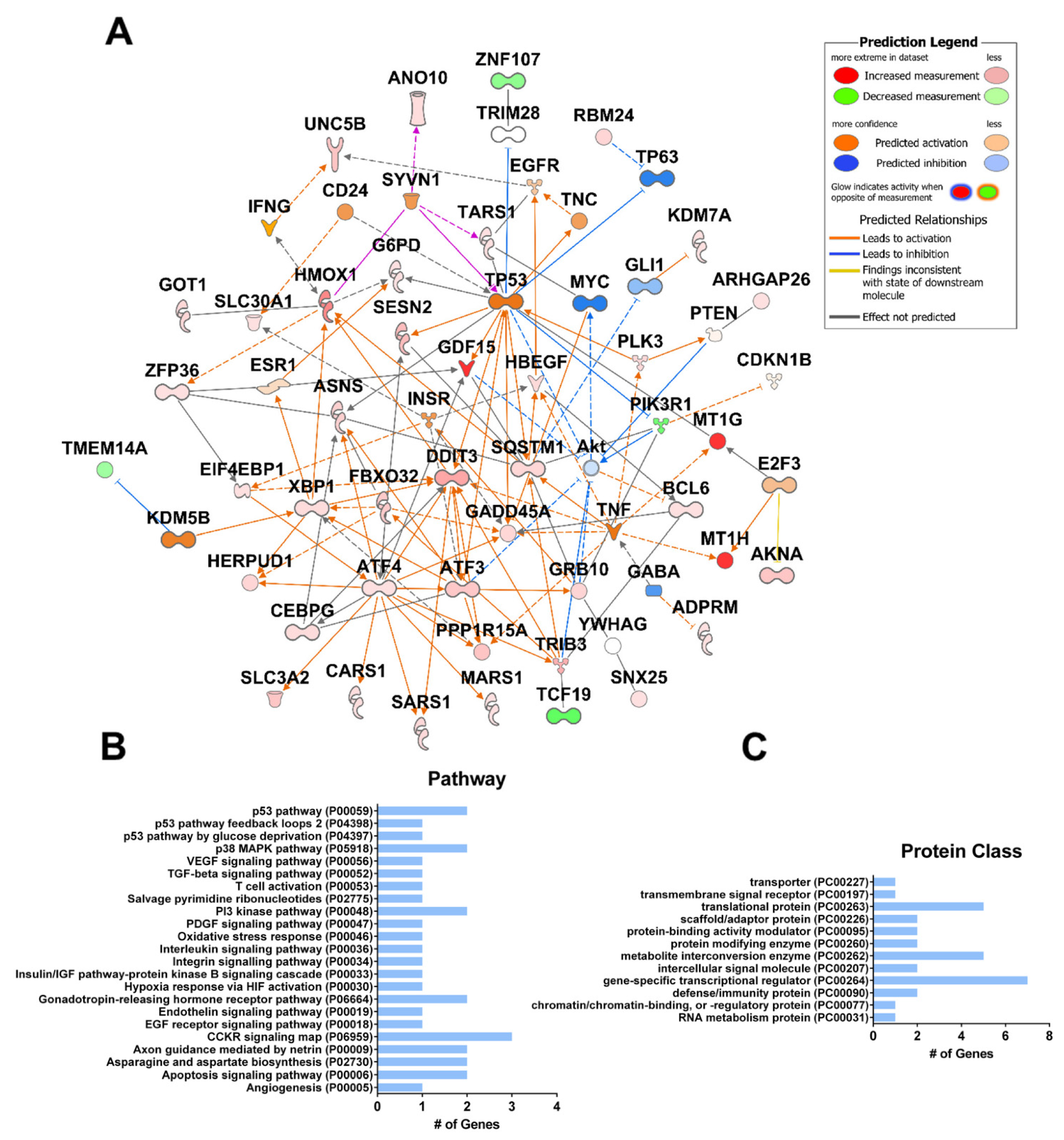 Ijms 23 12956 g004 Ijms 23 12956 g004