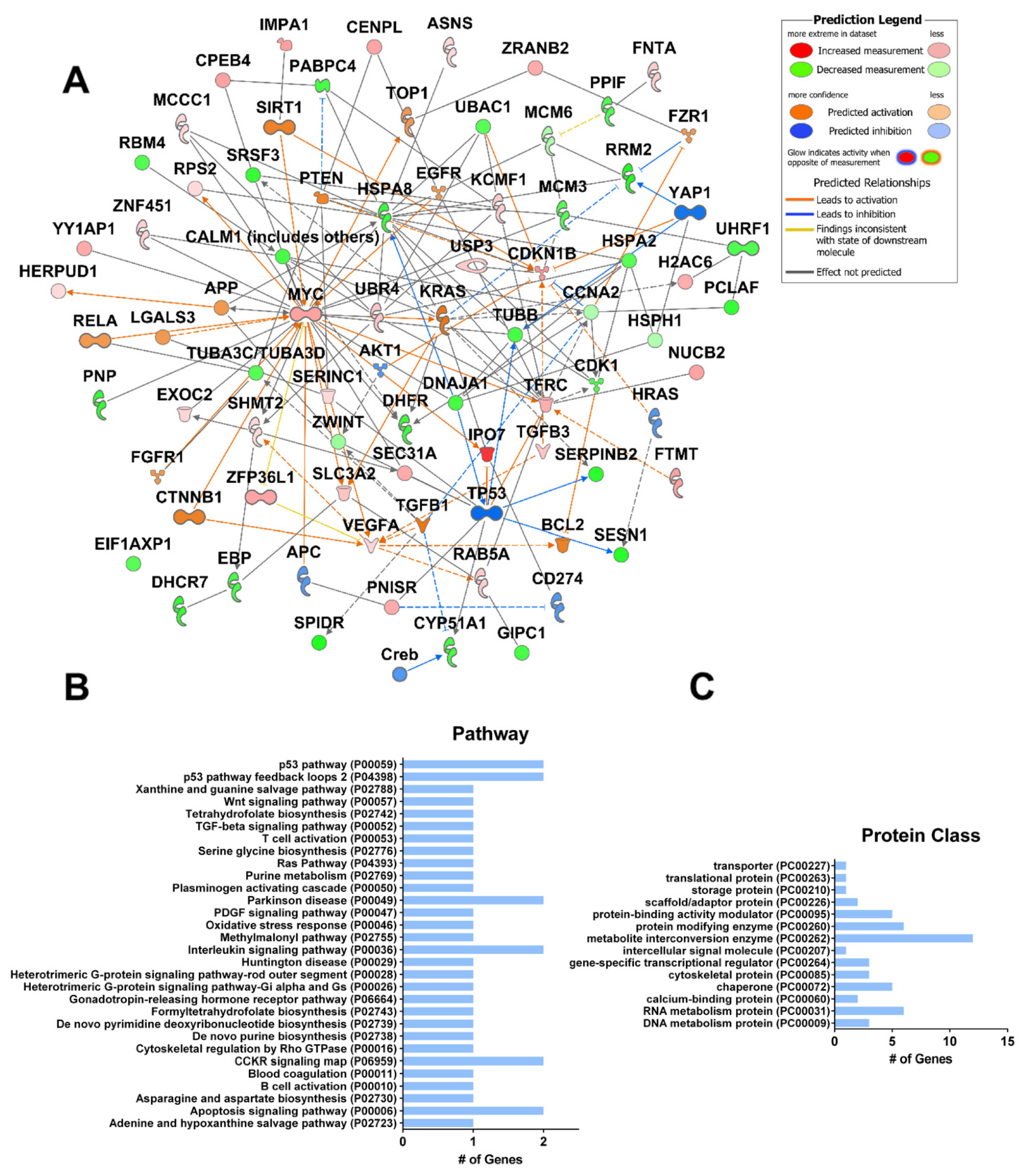 Ijms 23 12956 g005 Ijms 23 12956 g005