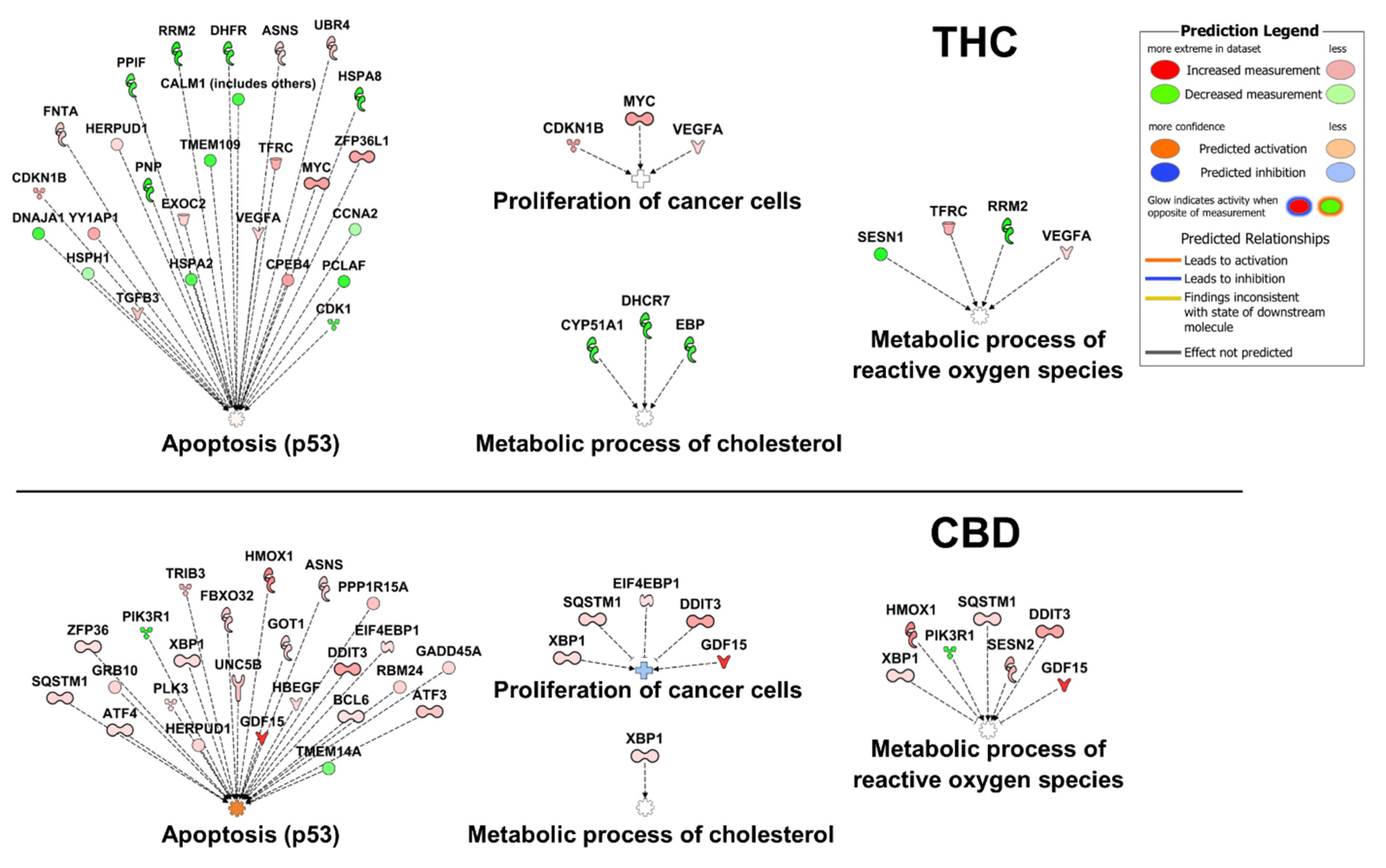 Ijms 23 12956 g006 Ijms 23 12956 g006