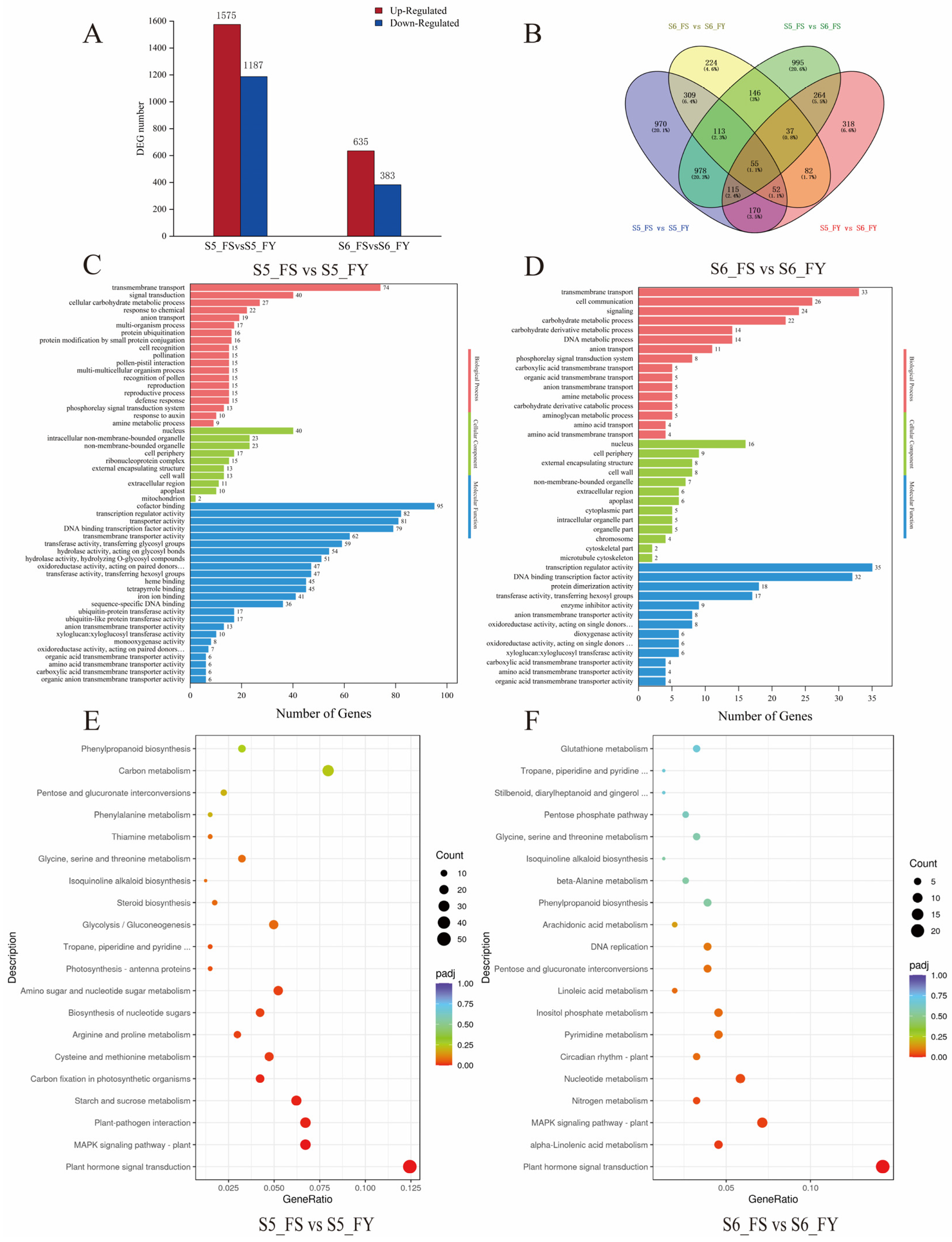 Ijms 23 12959 g005 Ijms 23 12959 g005