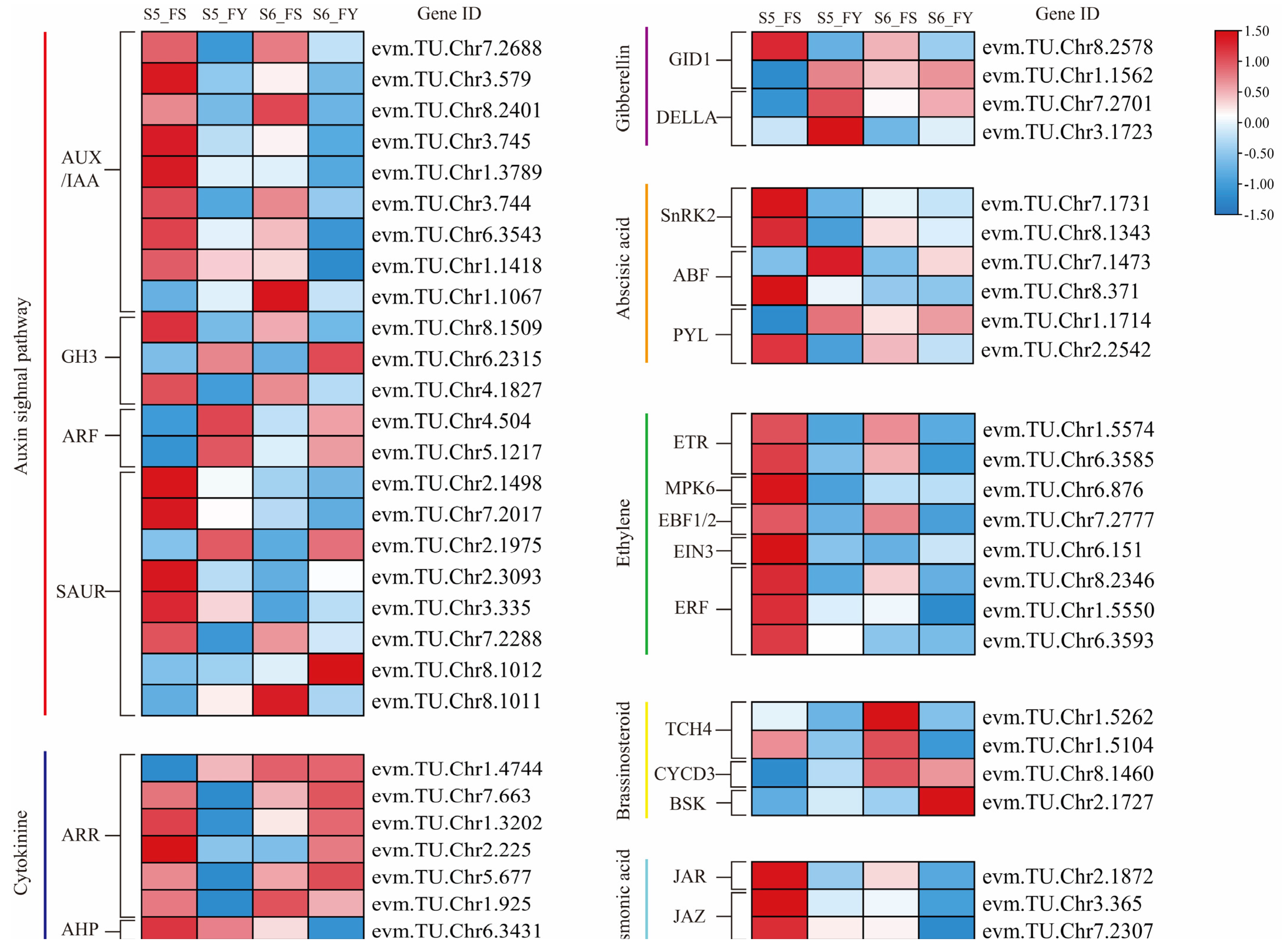 Ijms 23 12959 g006 Ijms 23 12959 g006